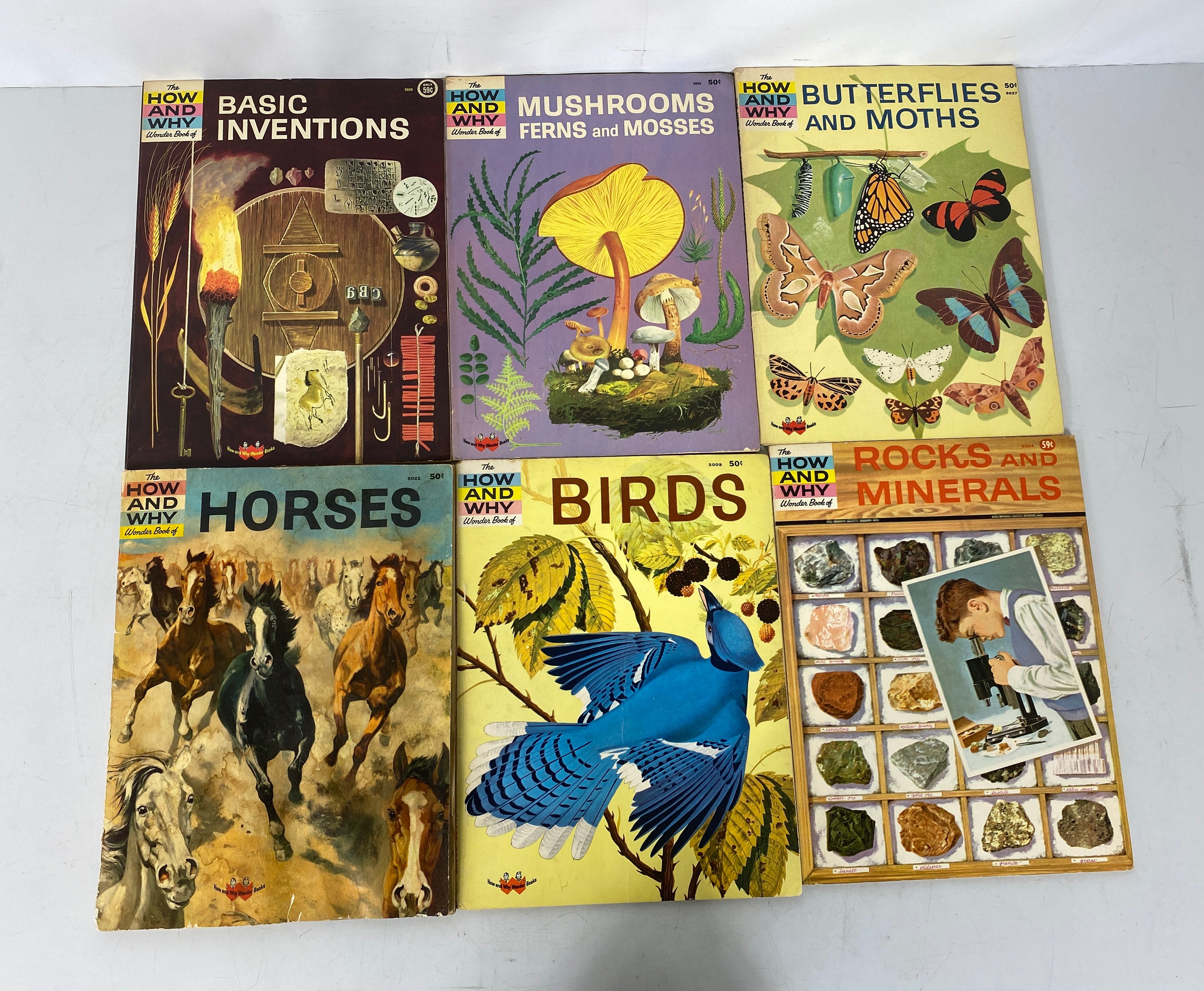 Lot of 14 Vintage How and Why Wonder Books 1960s incl Science/Birds/The Moon SC