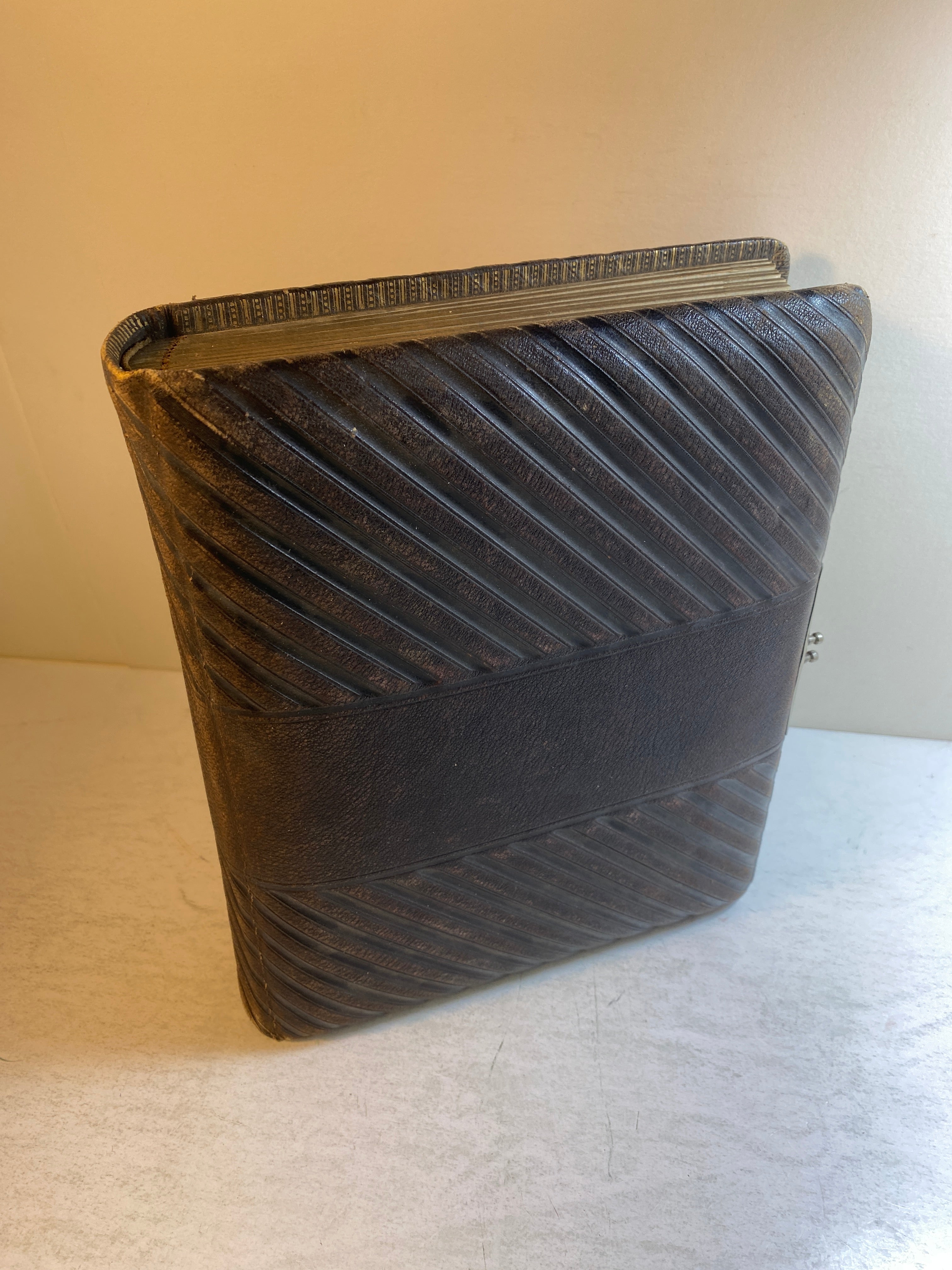 Antique Photograph Album Late 19th Century