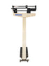 Health O Meter Professional Scale