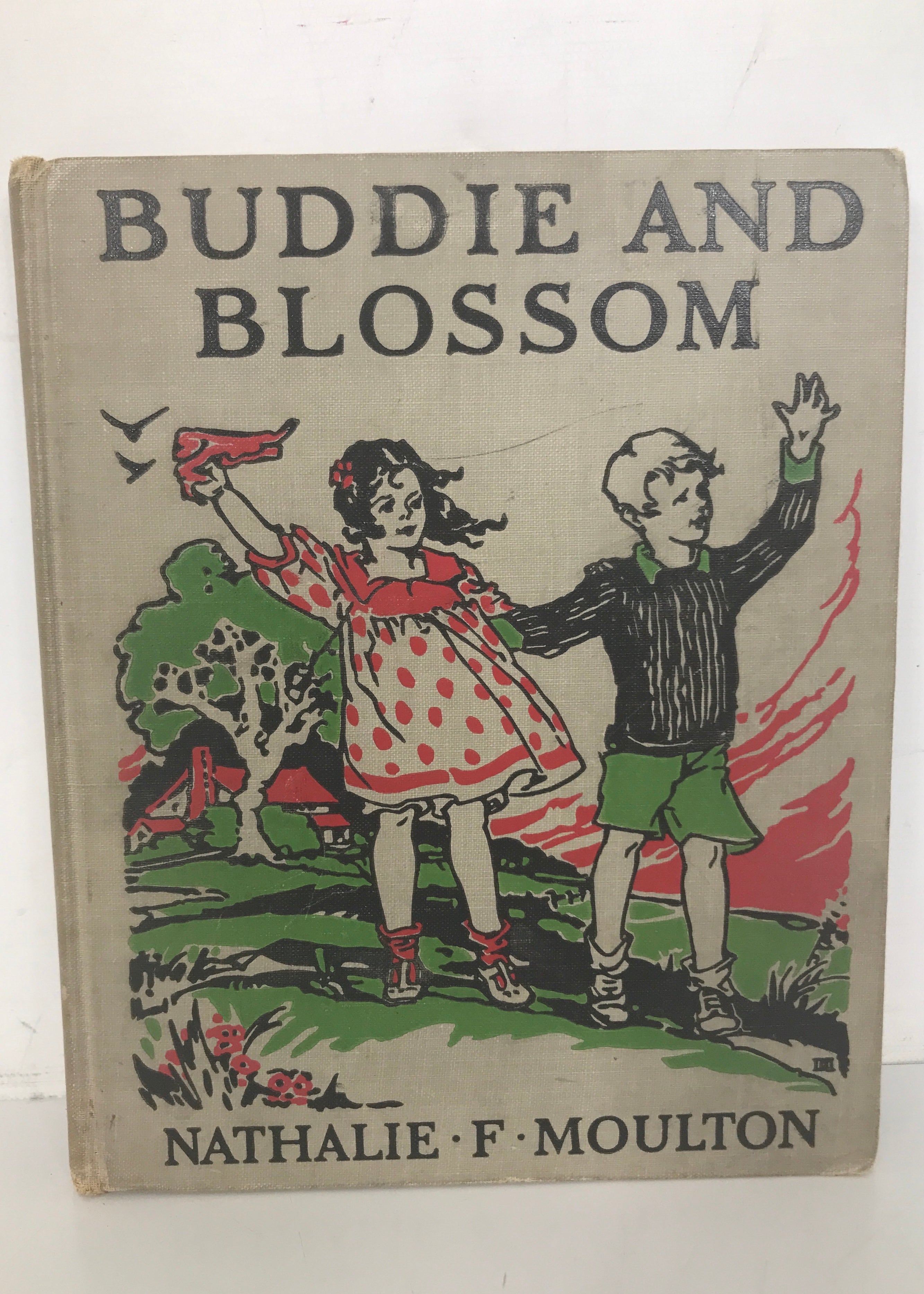 Buddie and Blossom by Moulton 1929 Rare Children's Book HC