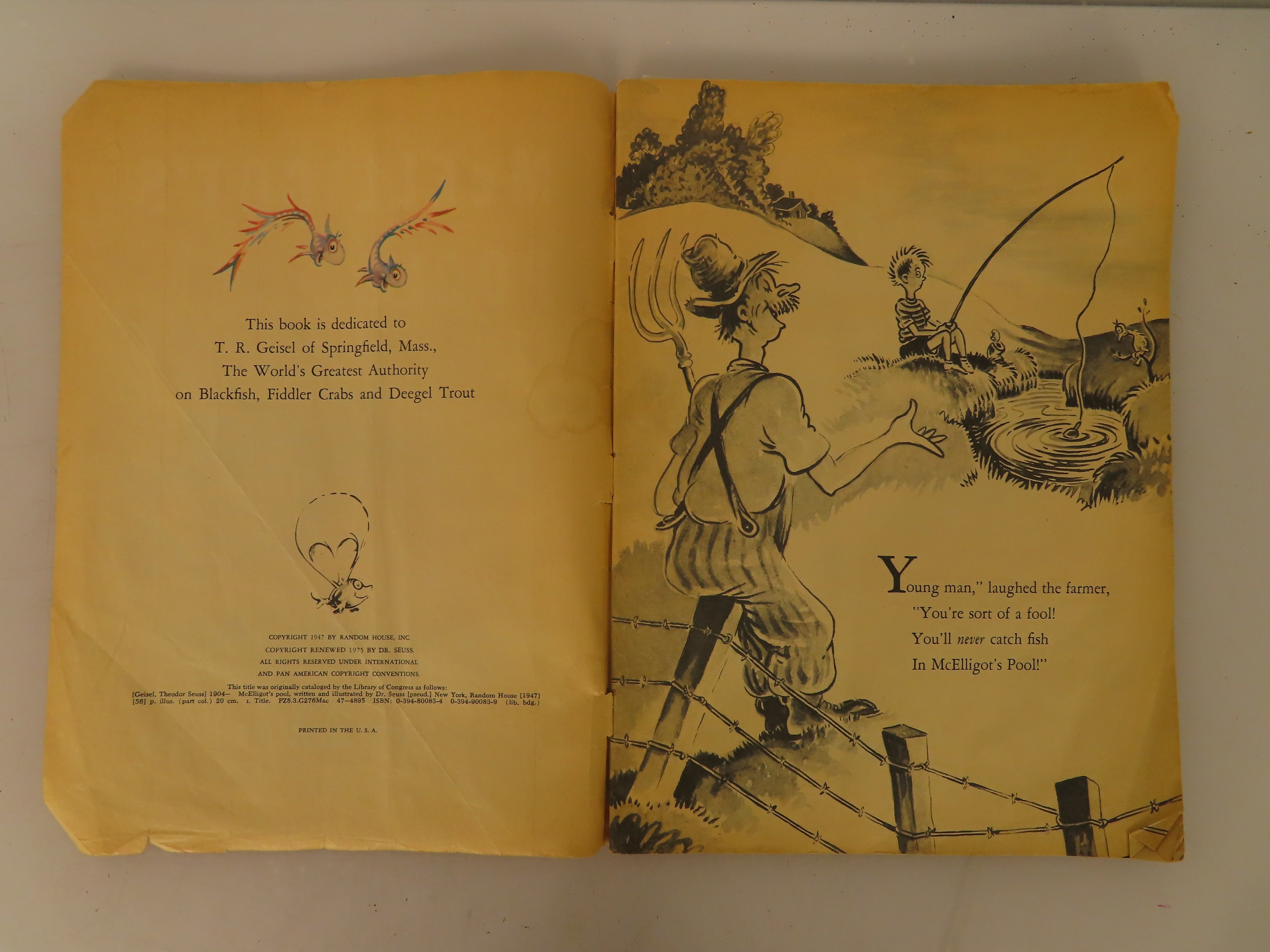 McElligot's Pool by Dr. Seuss 1975 Cover Missing