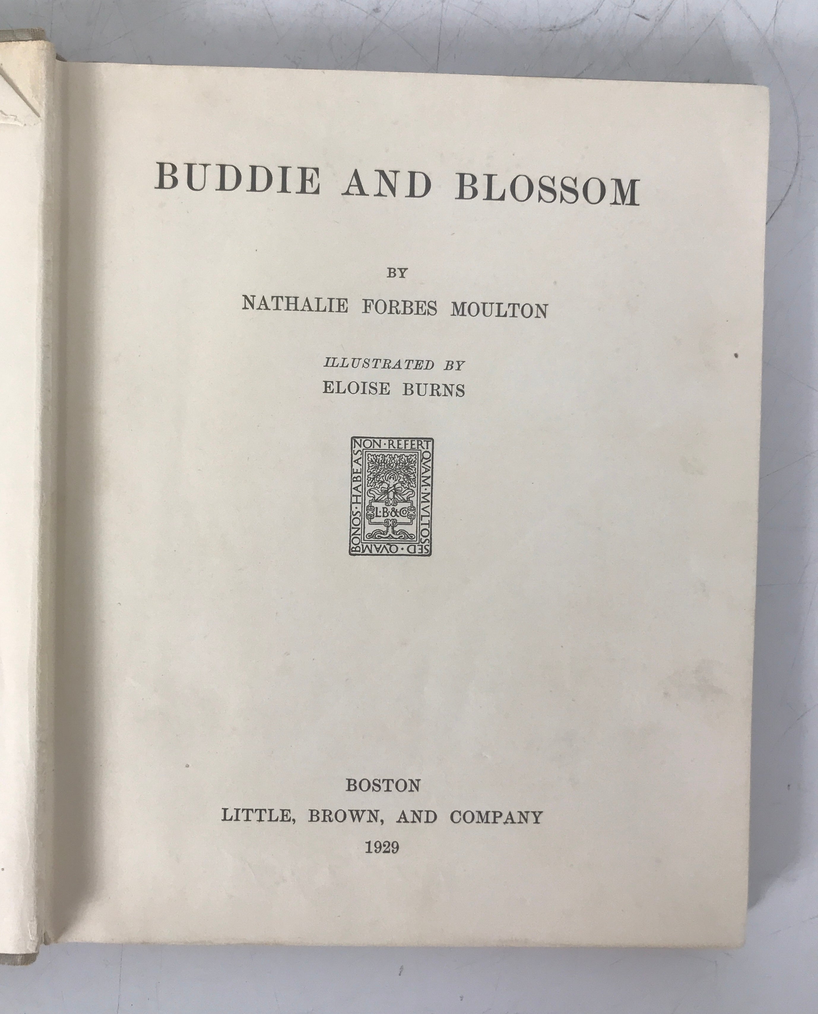 Buddie and Blossom by Moulton 1929 Rare Children's Book HC