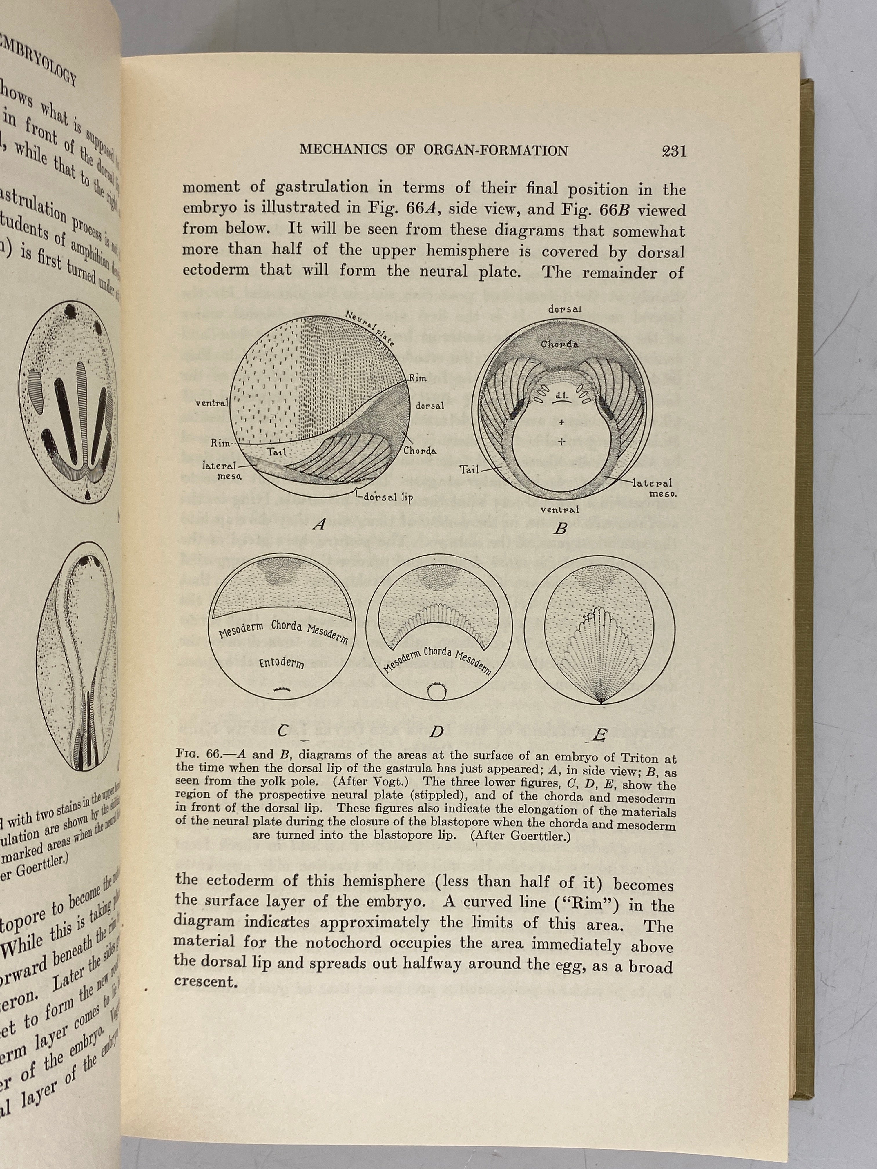 Experimental Embryology Thomas Hunt Morgan 1927 Antique 1st Edition HC