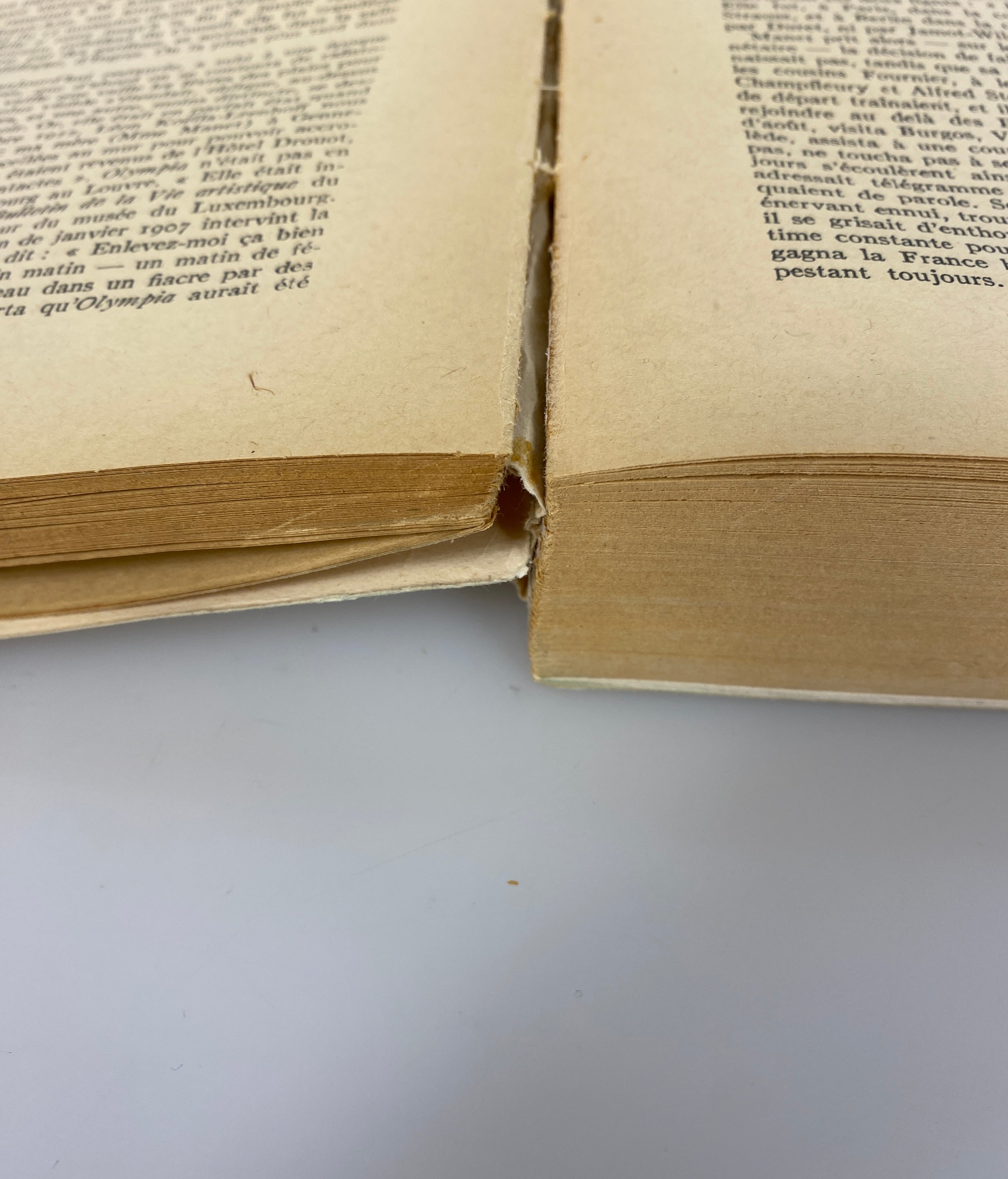 2 Volumes: Manet et Ses Oeuvres (1947)/Manet and Spain (1969) Vintage SC