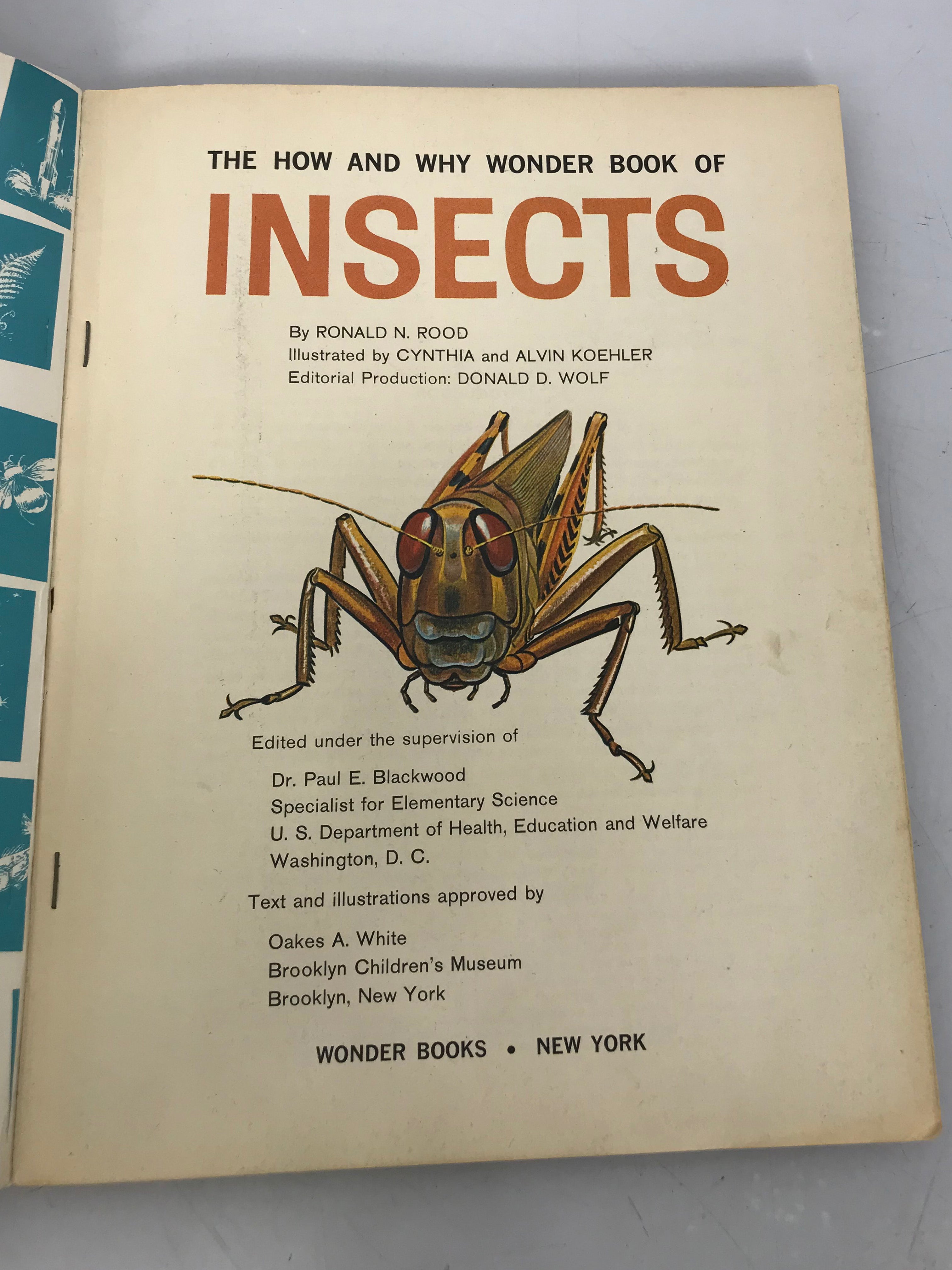 Lot of 12 How and Why Wonder Book of...