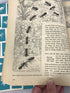 Lot of 12 How and Why Wonder Book of...