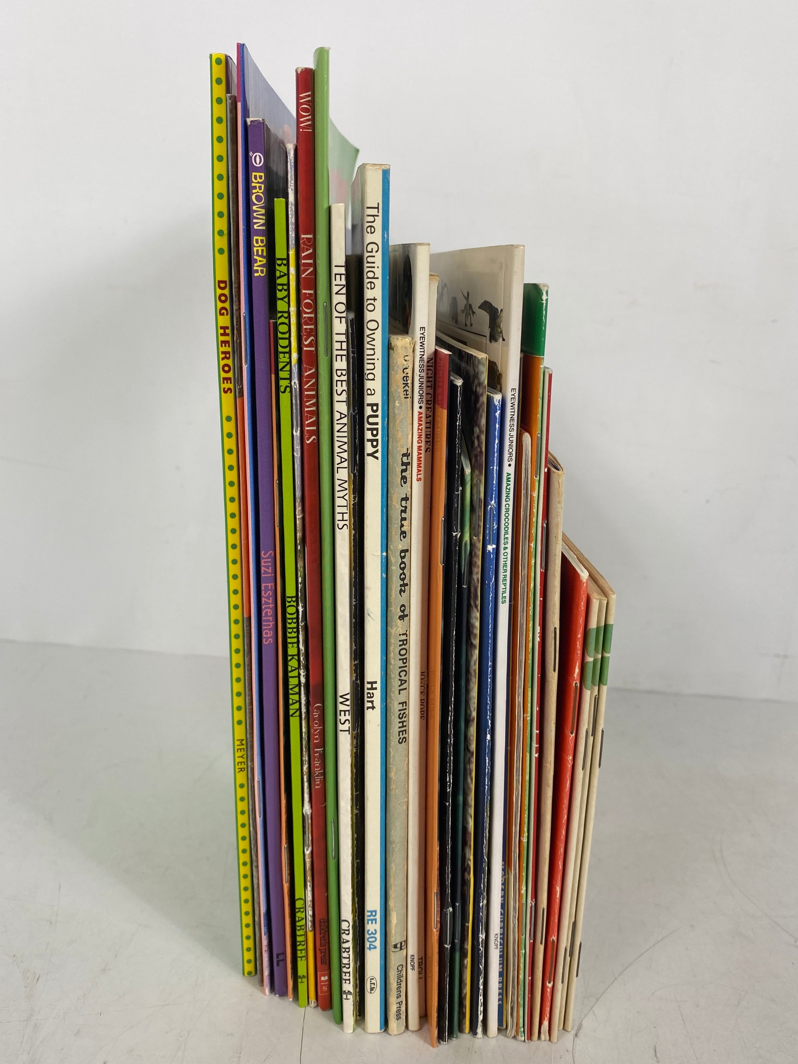 Lot of 31 Kids Books About Animals SC