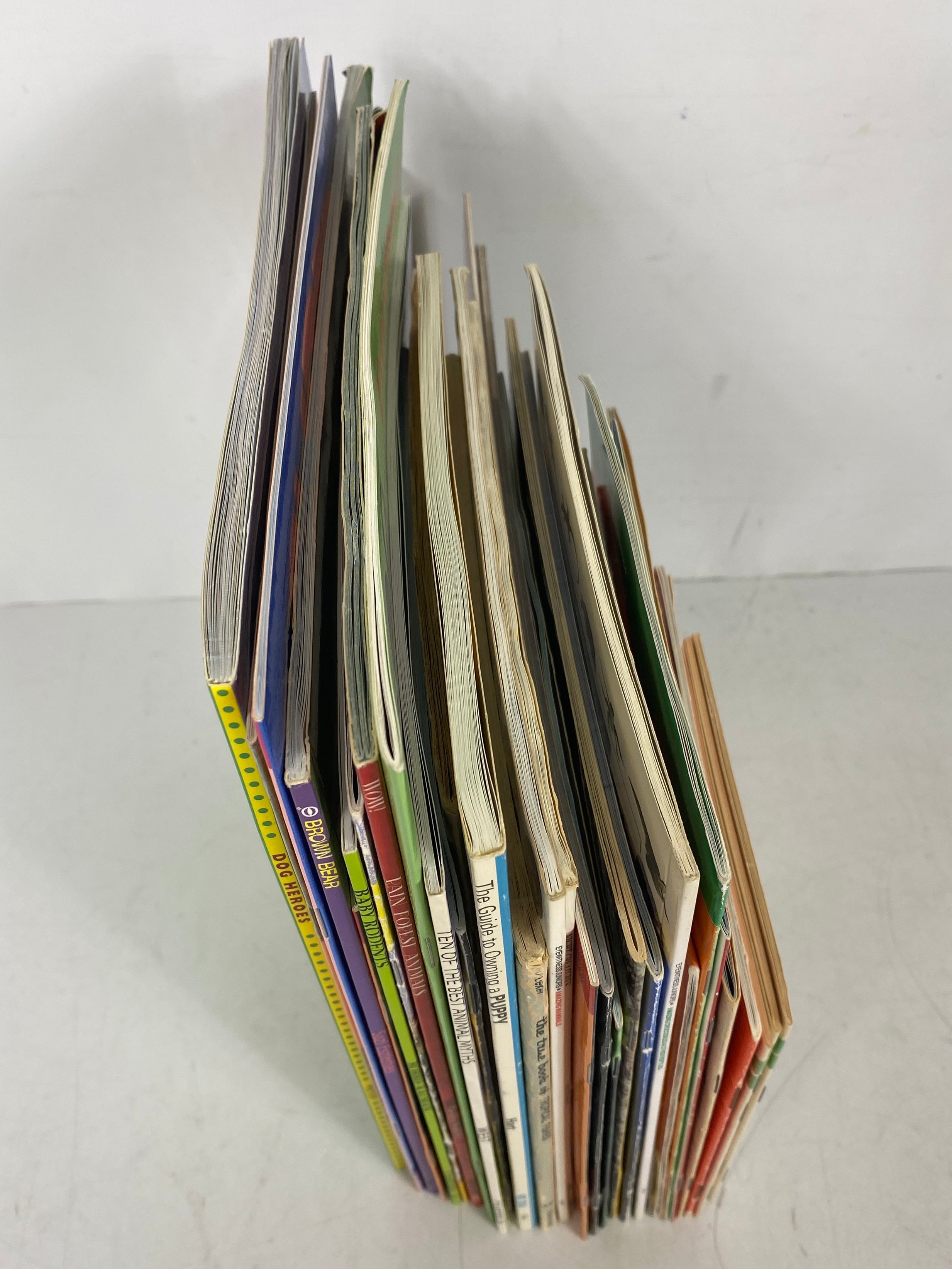 Lot of 31 Kids Books About Animals SC