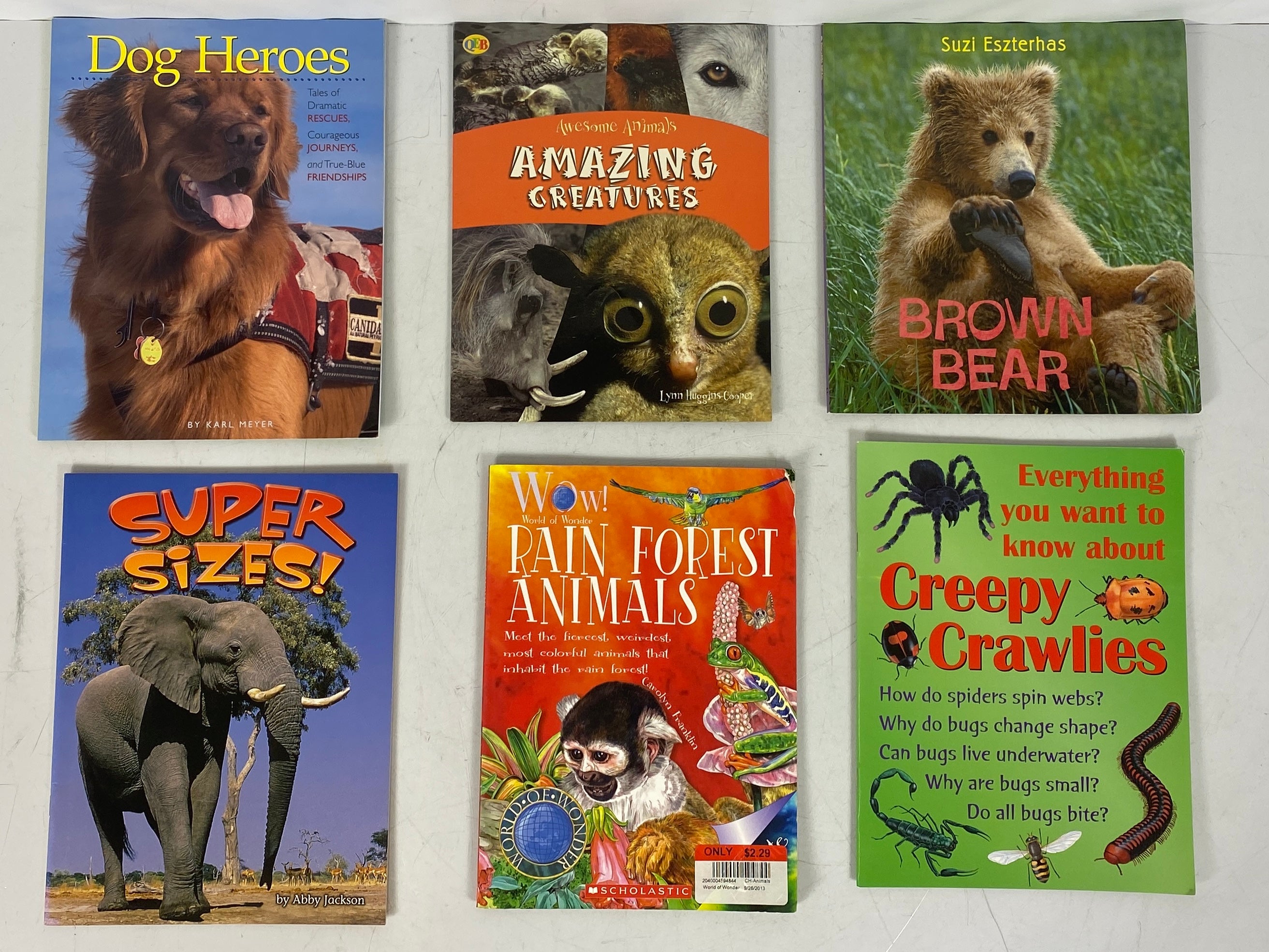 Lot of 31 Kids Books About Animals SC