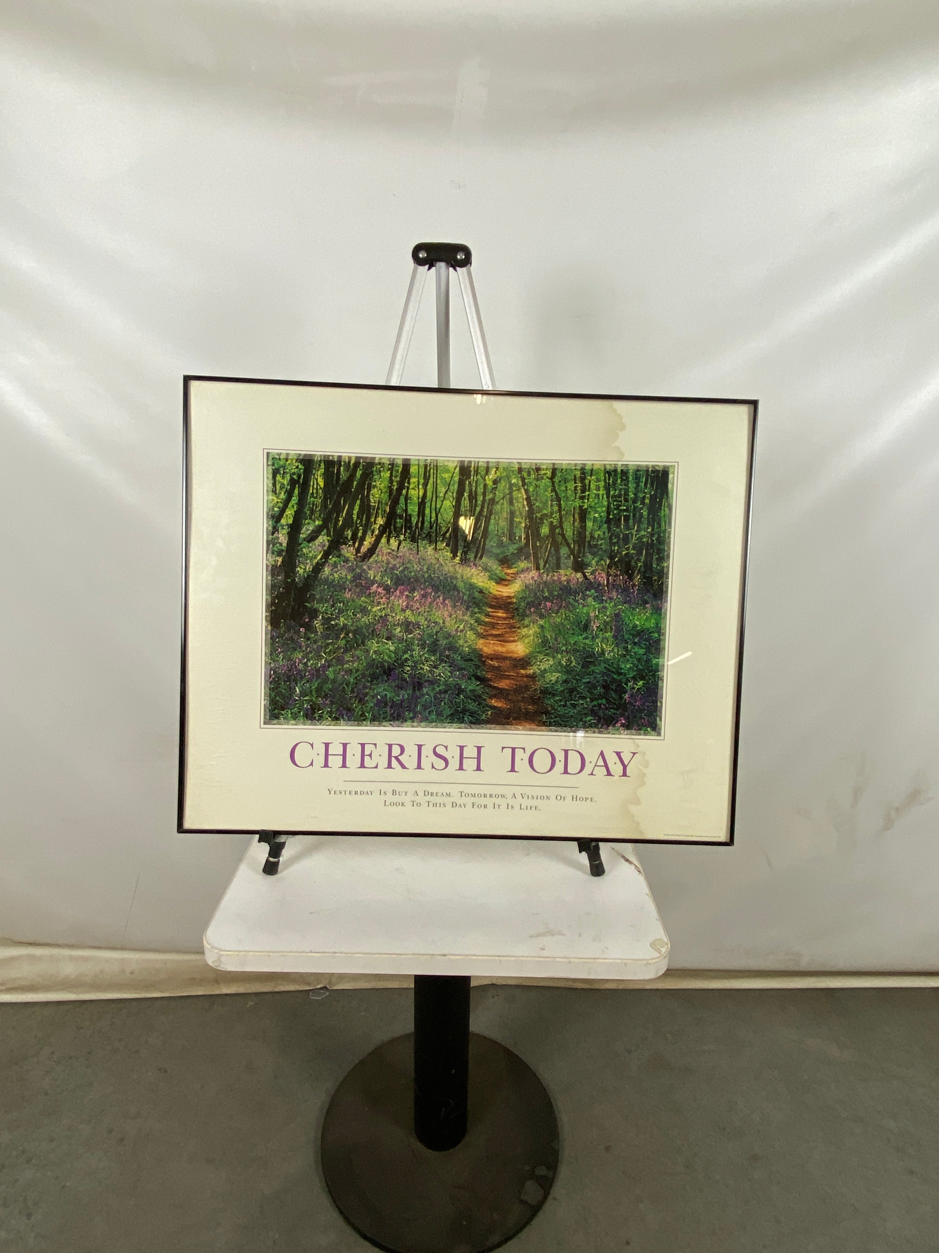 Framed Successories 'Cherish Today' Poster