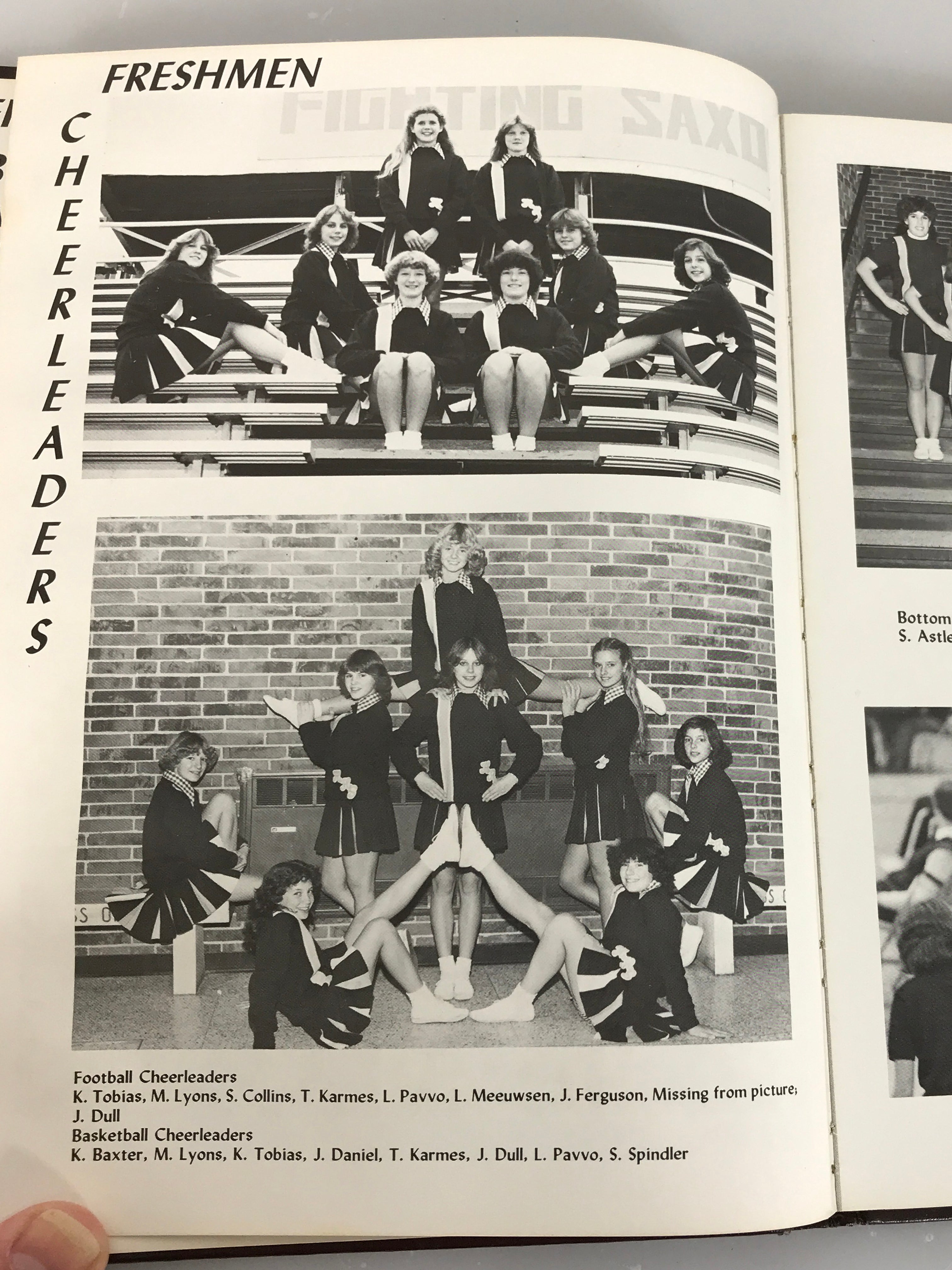 1980 Hastings High School Yearbook Hastings Michigan HC