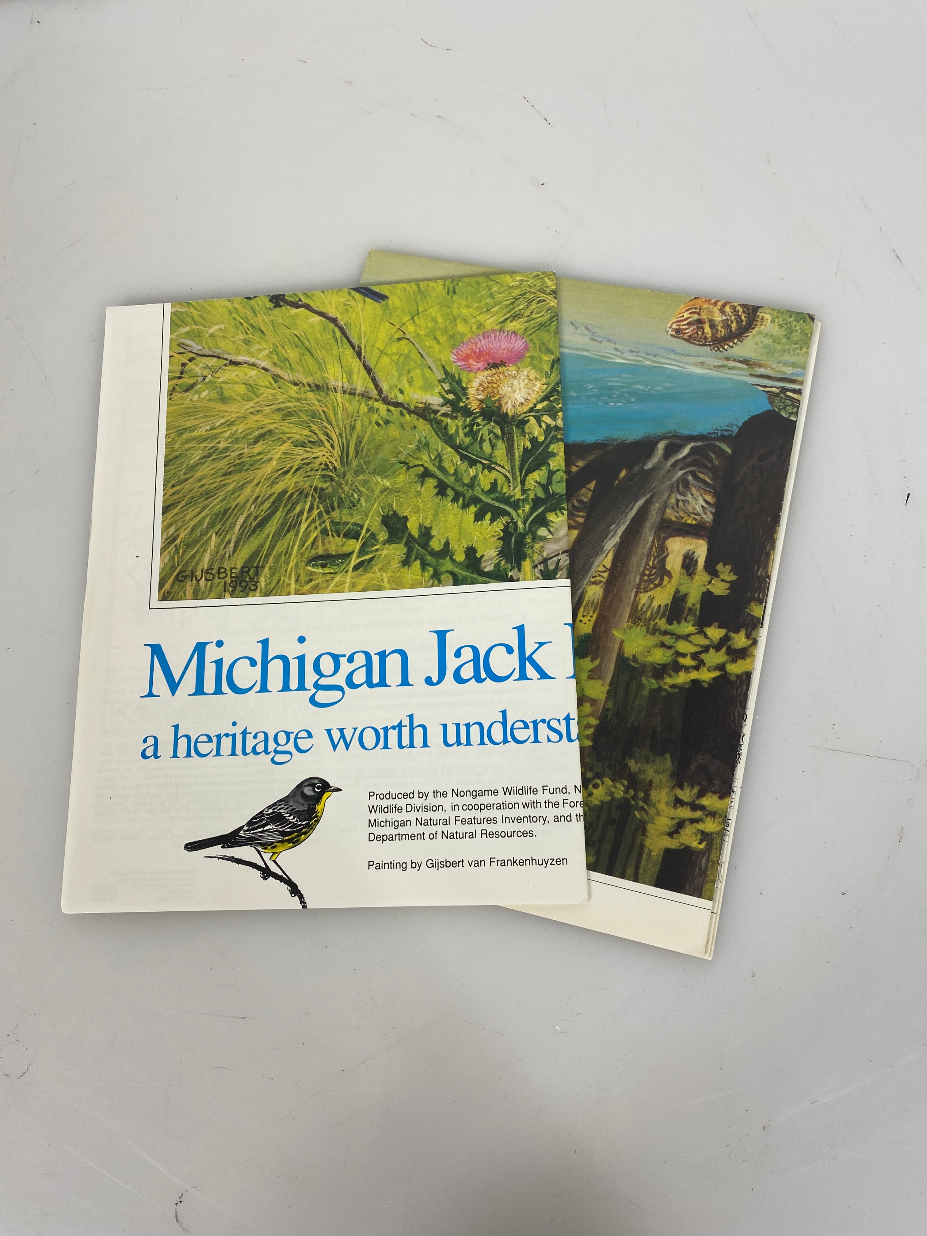 Lot of 2 Vintage Michigan Wildlife Posters