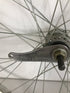 Steel 24" Rear Bicycle Wheel