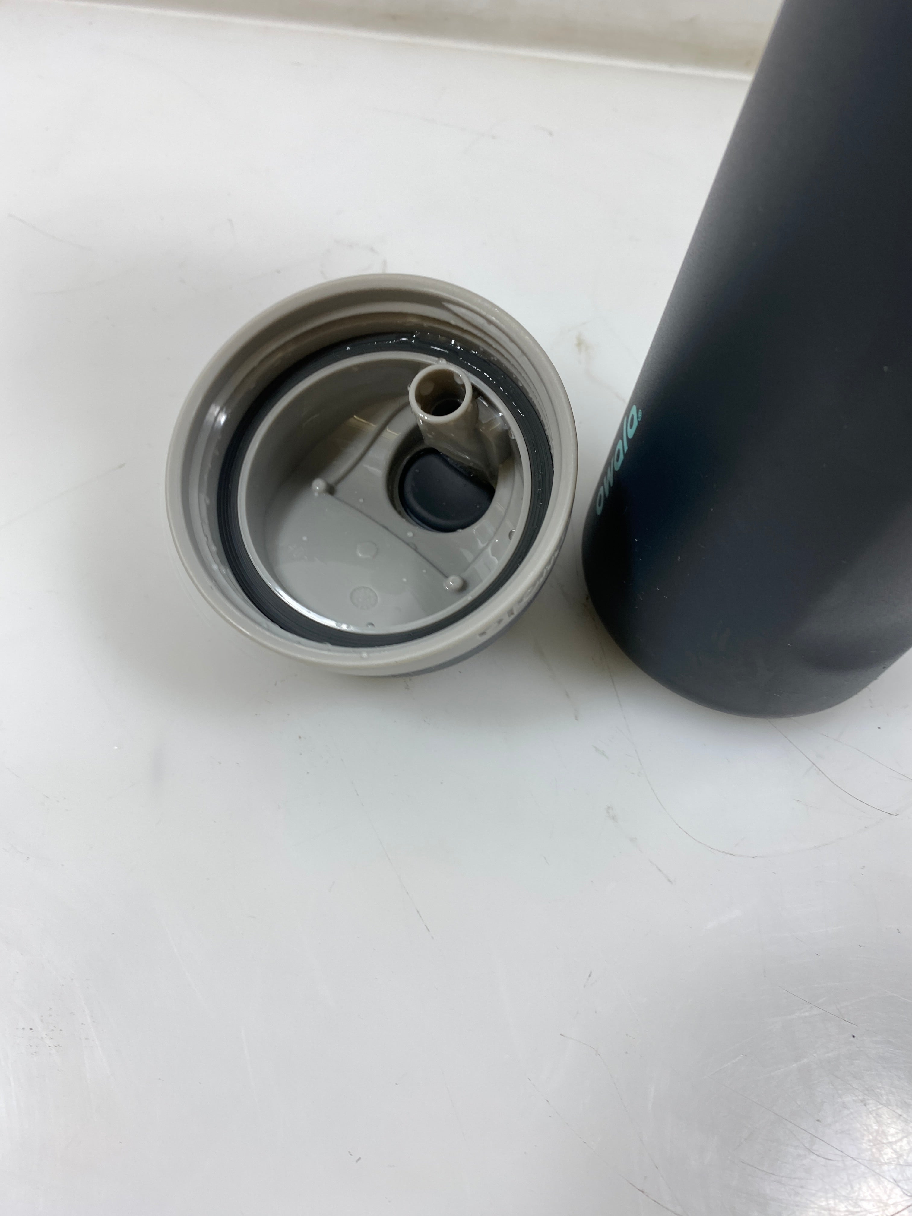 Owala Starbucks Free Sip Water Bottle 24oz