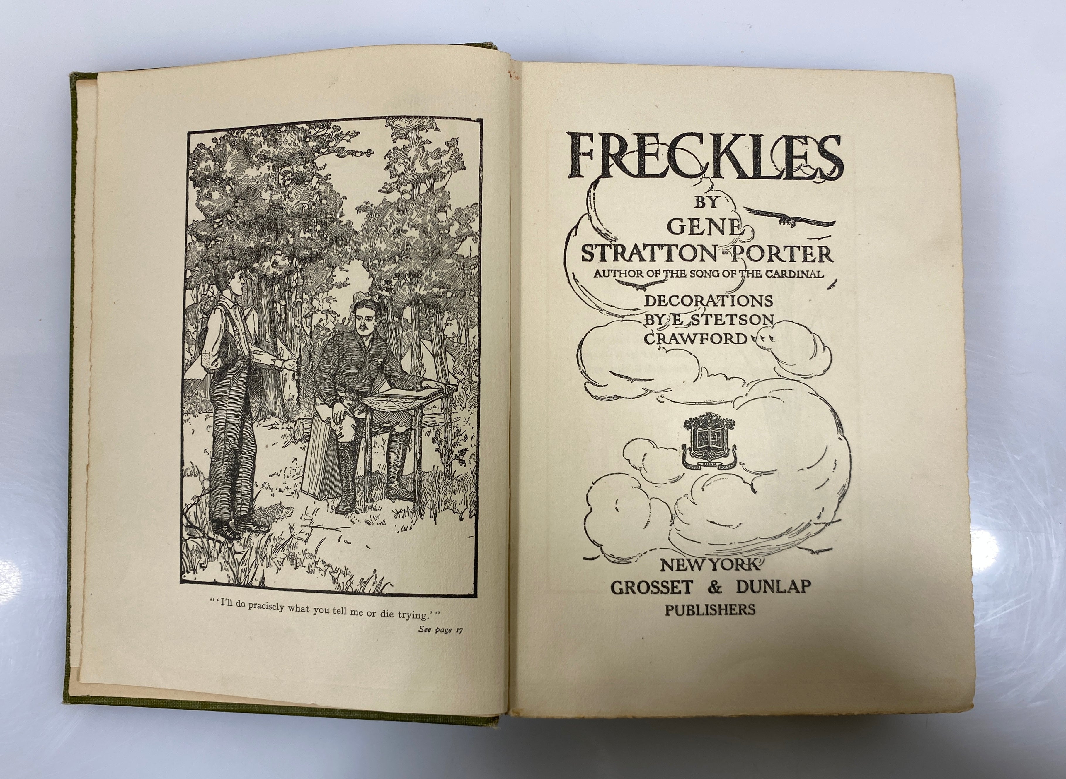 2 Antique Gene Stratton-Porter: Freckles (1904)/The Harvester (1916) HC