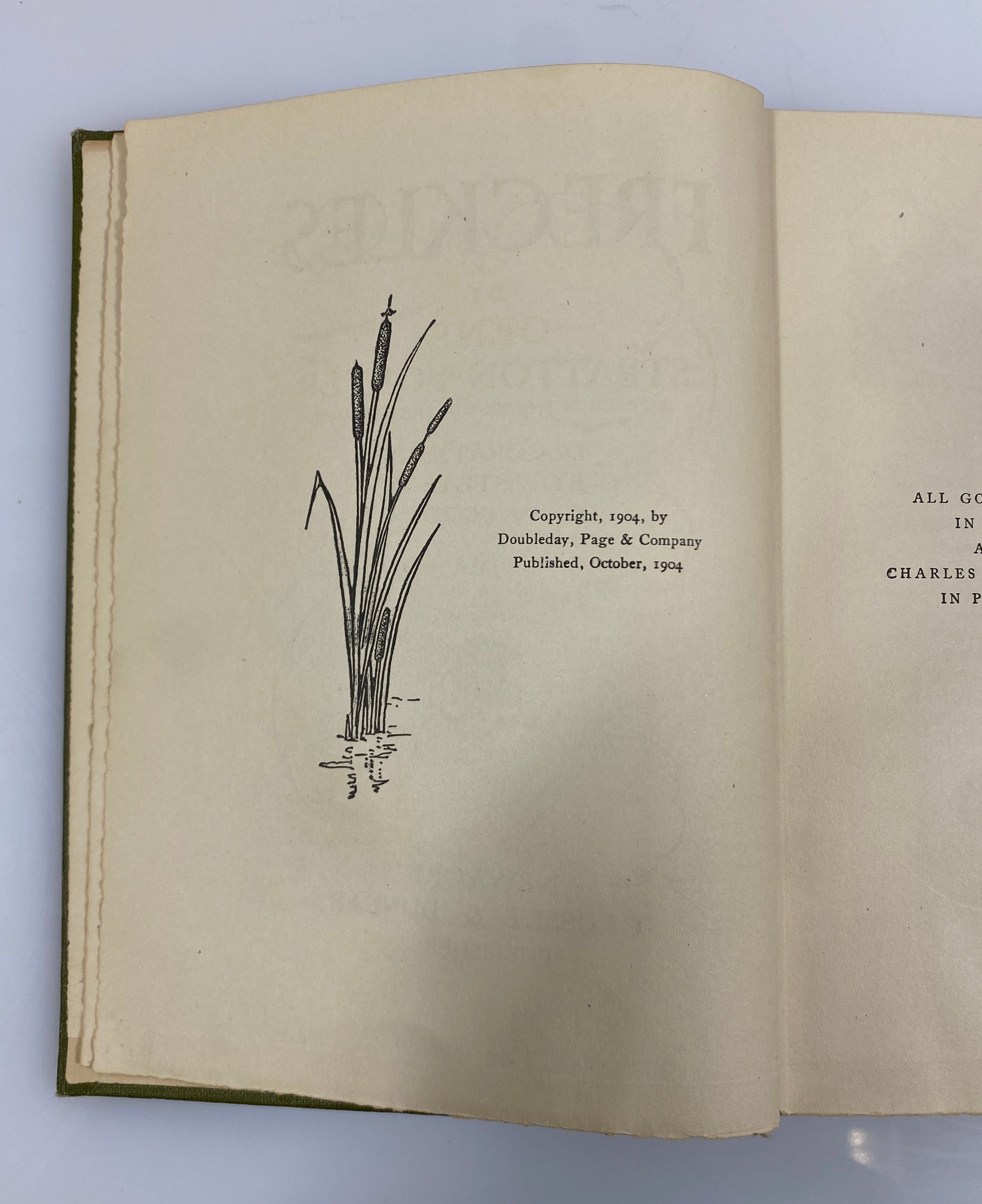 2 Antique Gene Stratton-Porter: Freckles (1904)/The Harvester (1916) HC