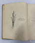 2 Antique Gene Stratton-Porter: Freckles (1904)/The Harvester (1916) HC