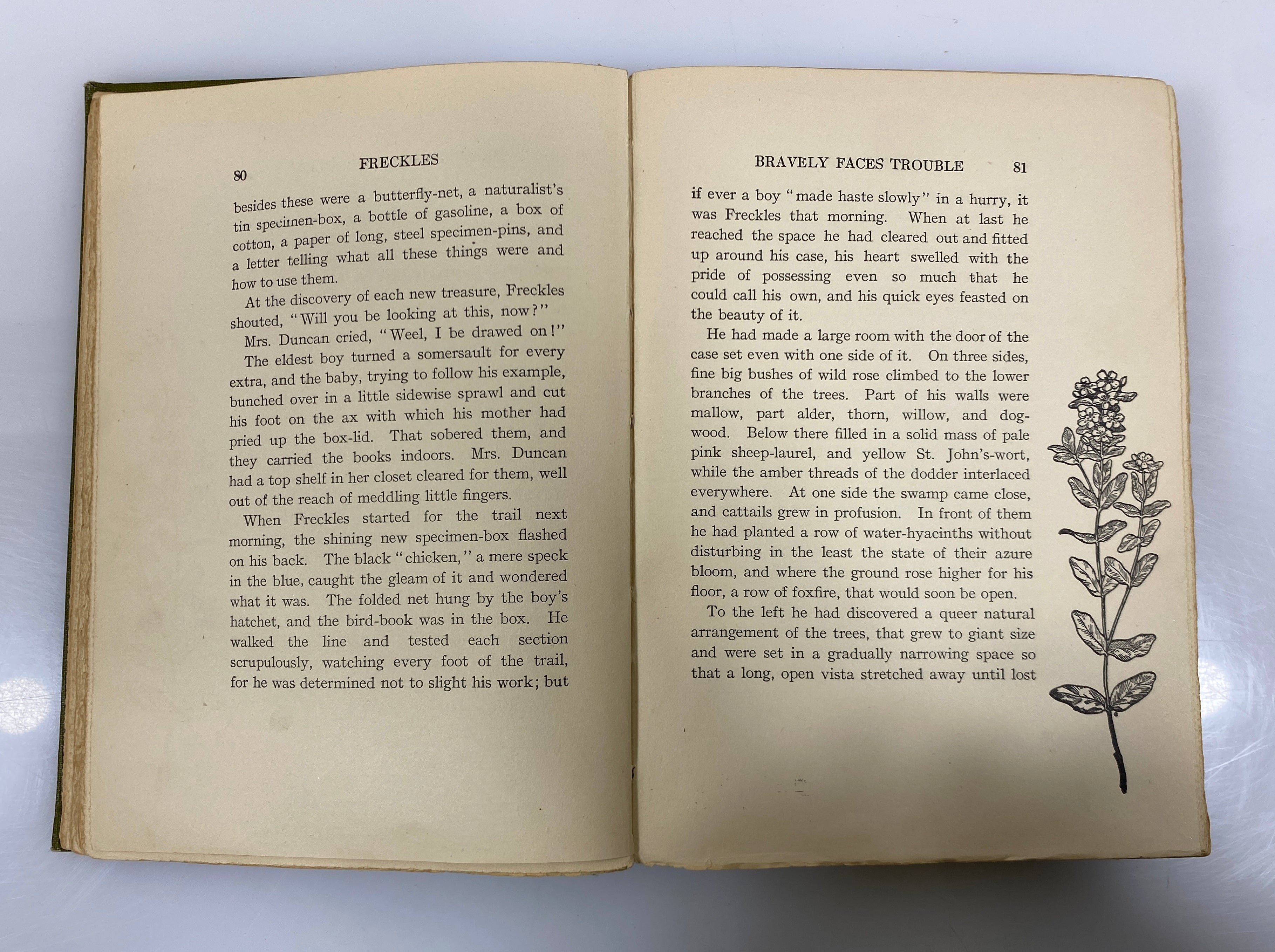 2 Antique Gene Stratton-Porter: Freckles (1904)/The Harvester (1916) HC