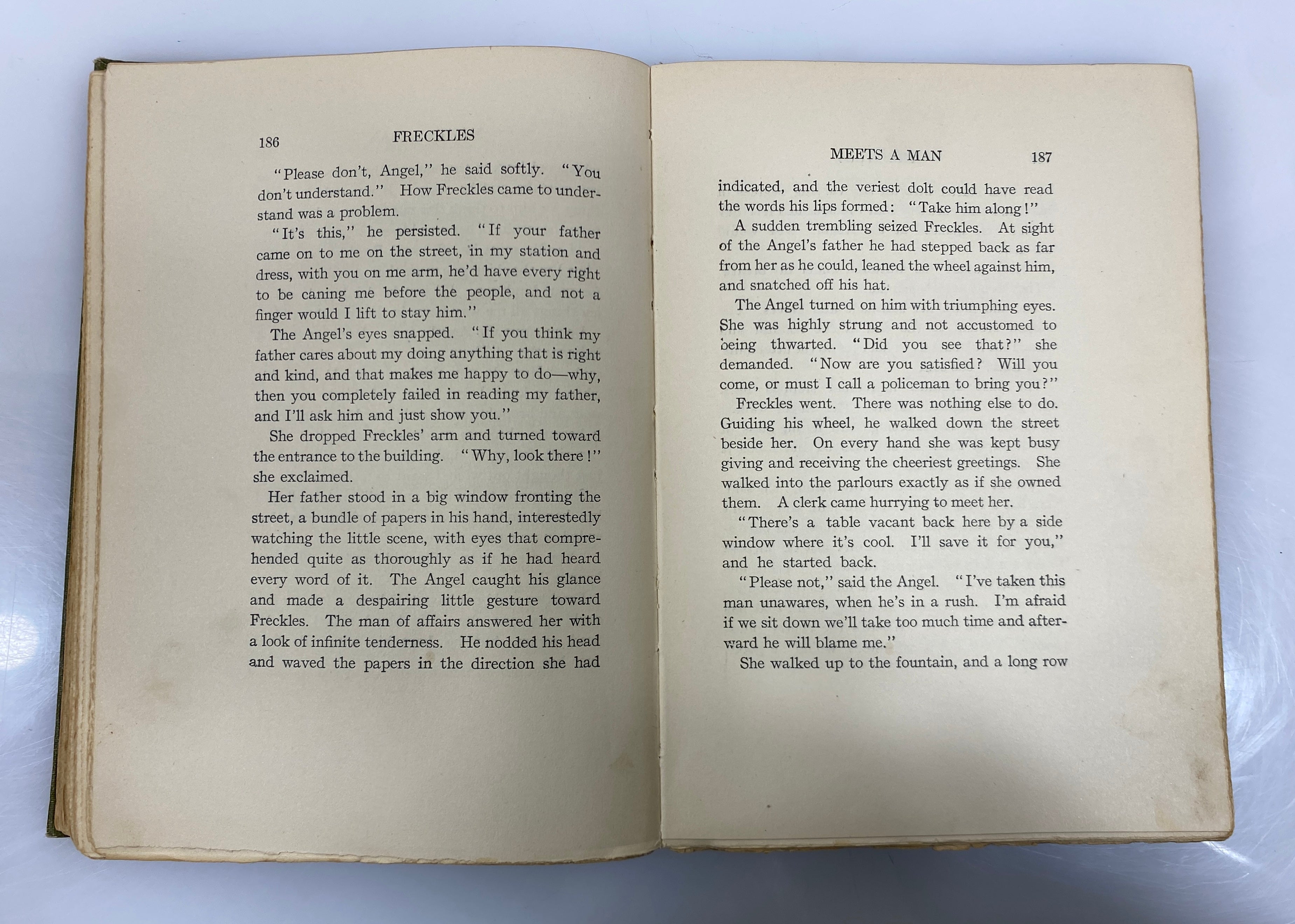 2 Antique Gene Stratton-Porter: Freckles (1904)/The Harvester (1916) HC