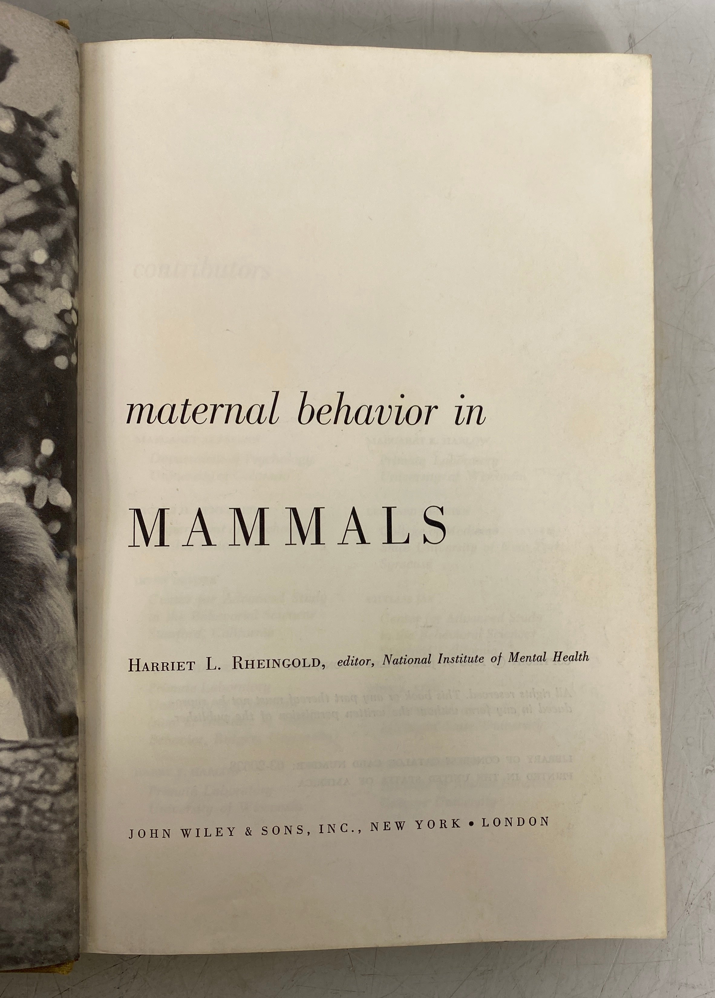 Maternal Behavior in Mammals Harriet Rheingold 1963 Vintage HC Text