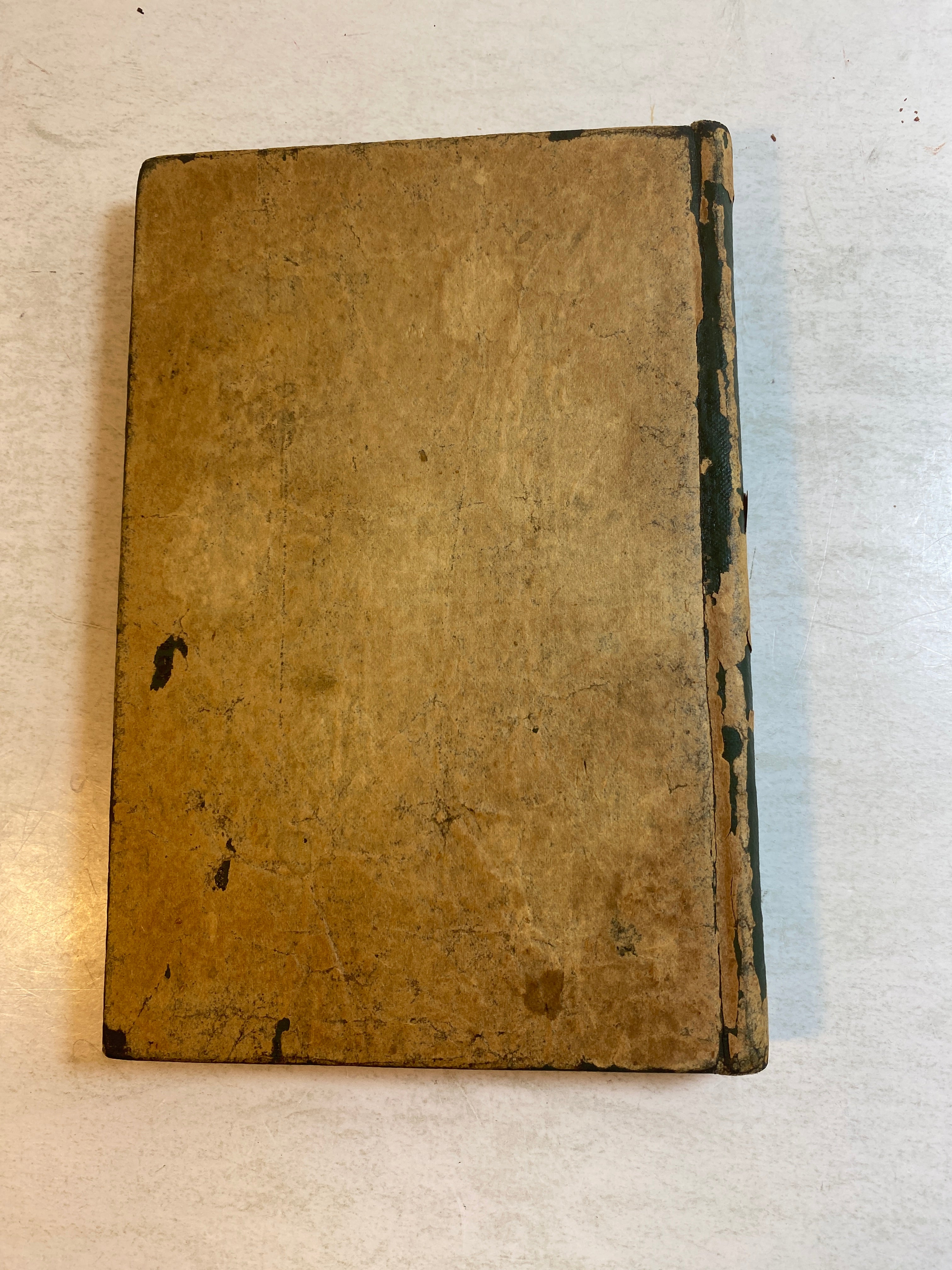 Presbyterian Cook Book 1886