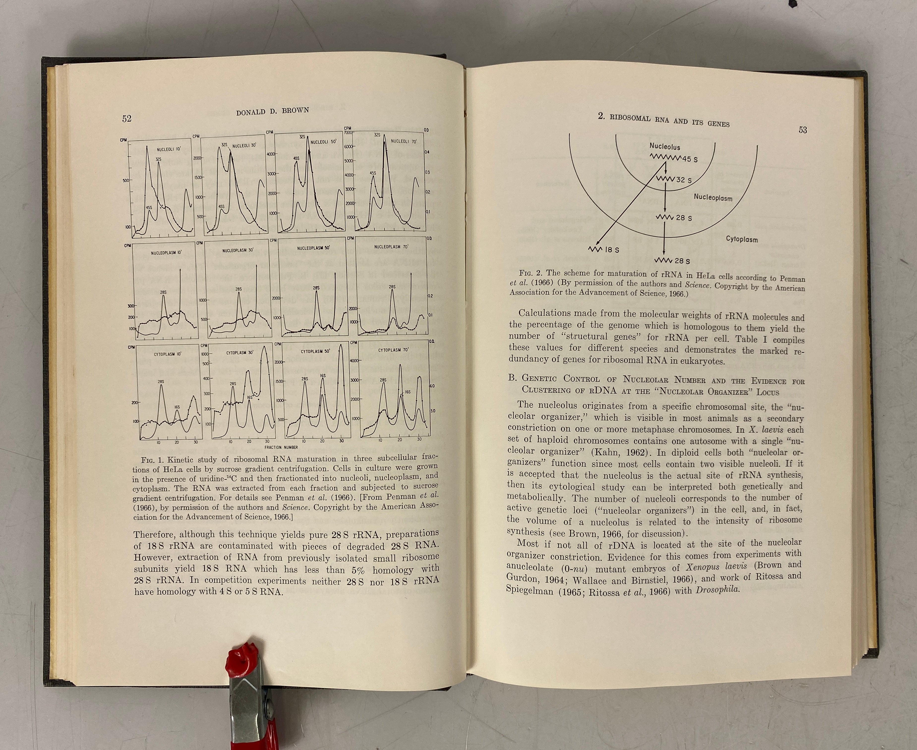 3 Vols: Current Topics in Developmental Biology (2,4,8) 1967-1974 Vintage HC