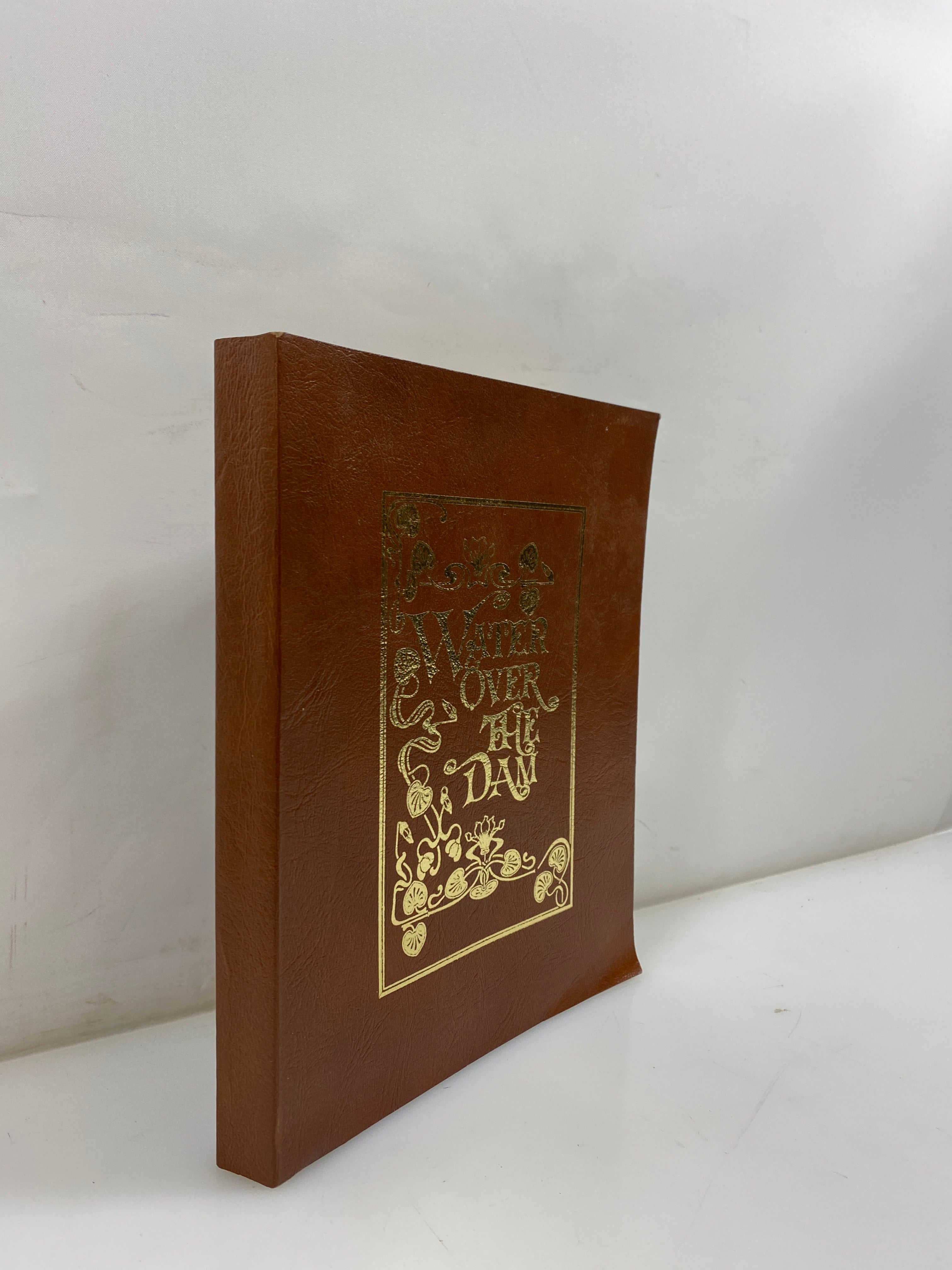 Water Over the Dam Vicksburg Then and Now Molineaux 1972 SC