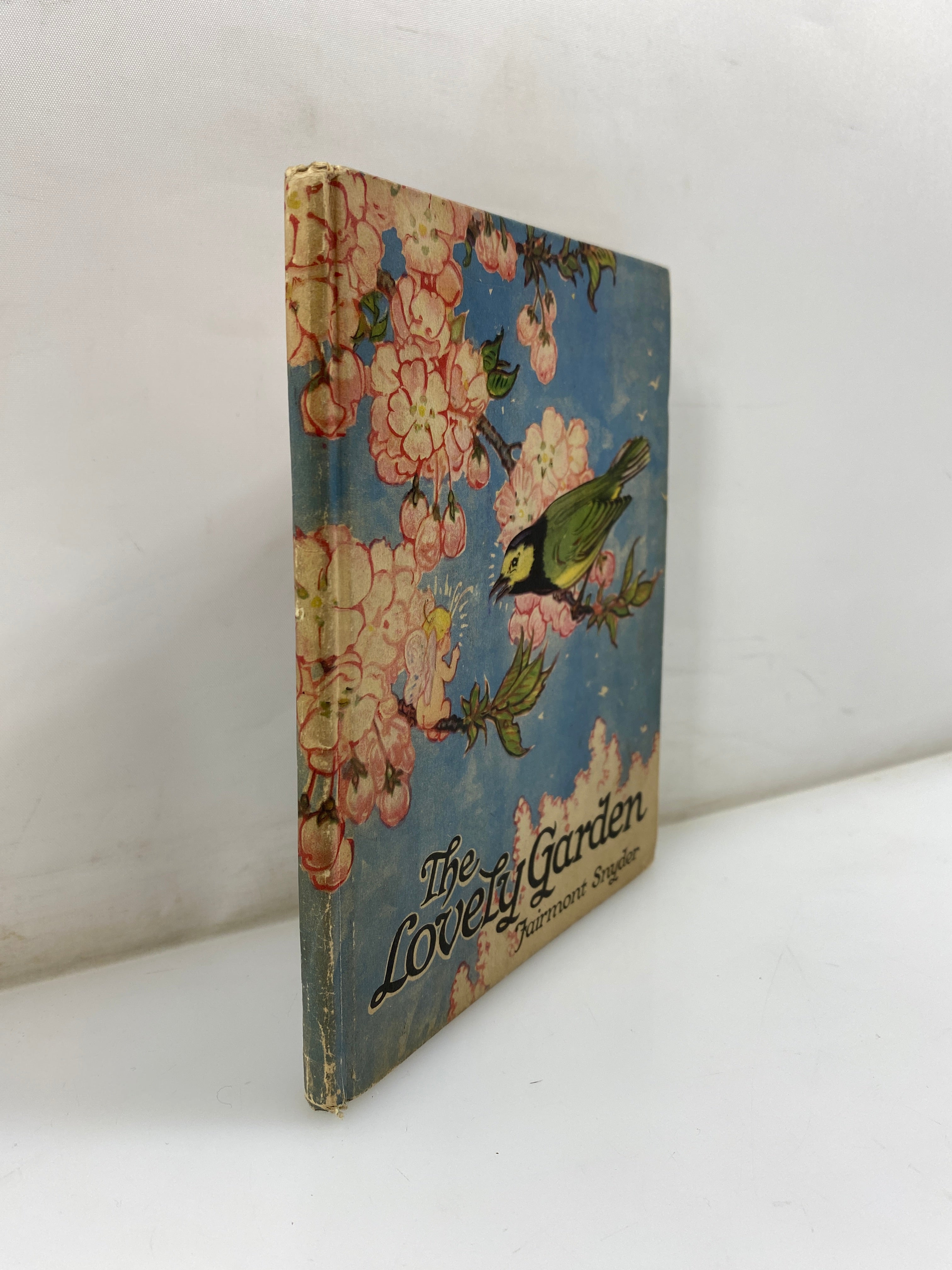 The Lovely Garden by Snyder 20th Ed. 1919 HC
