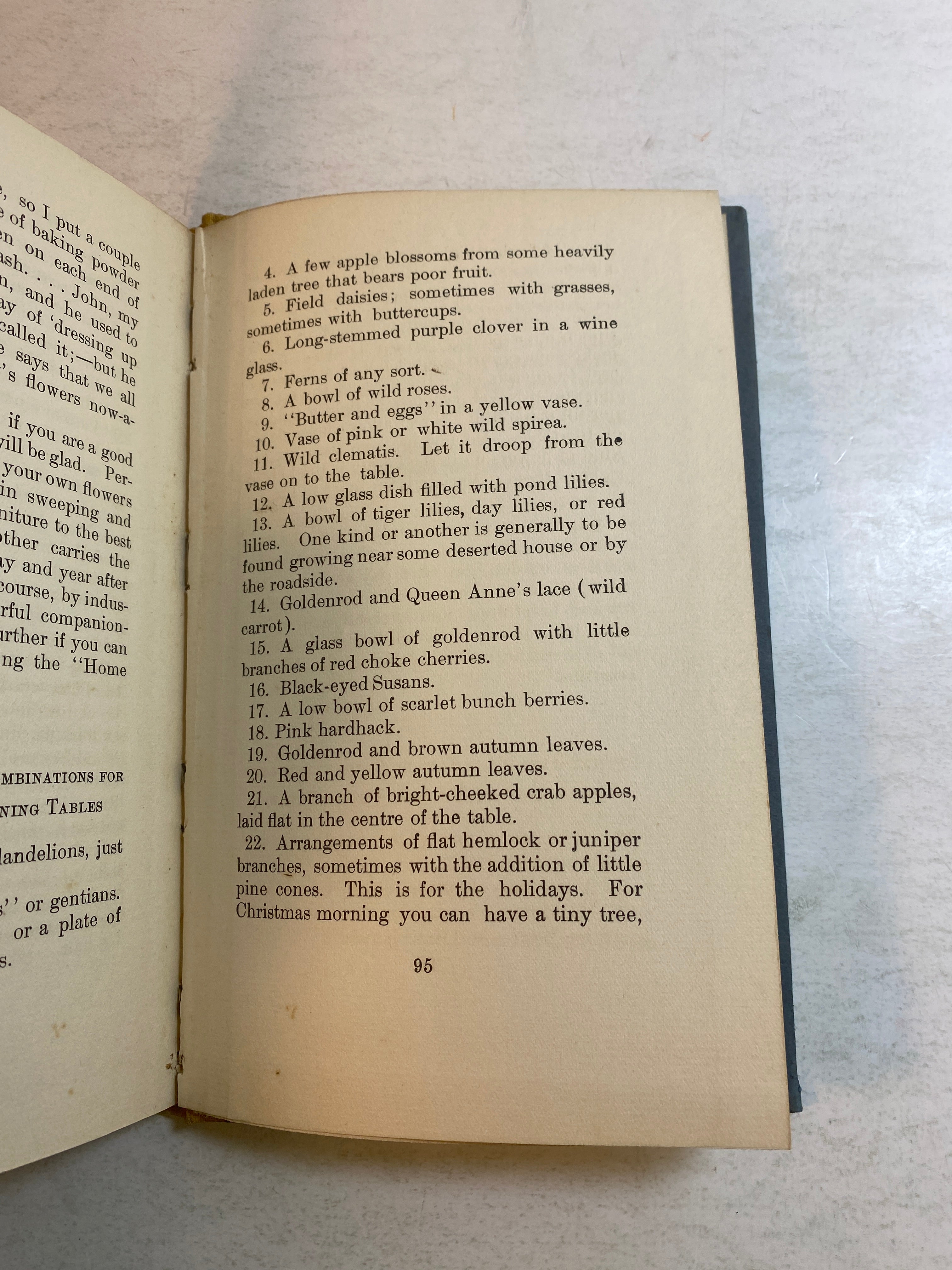 Dorcas Dishes Country Cooking Kate Wiggin HC 1911