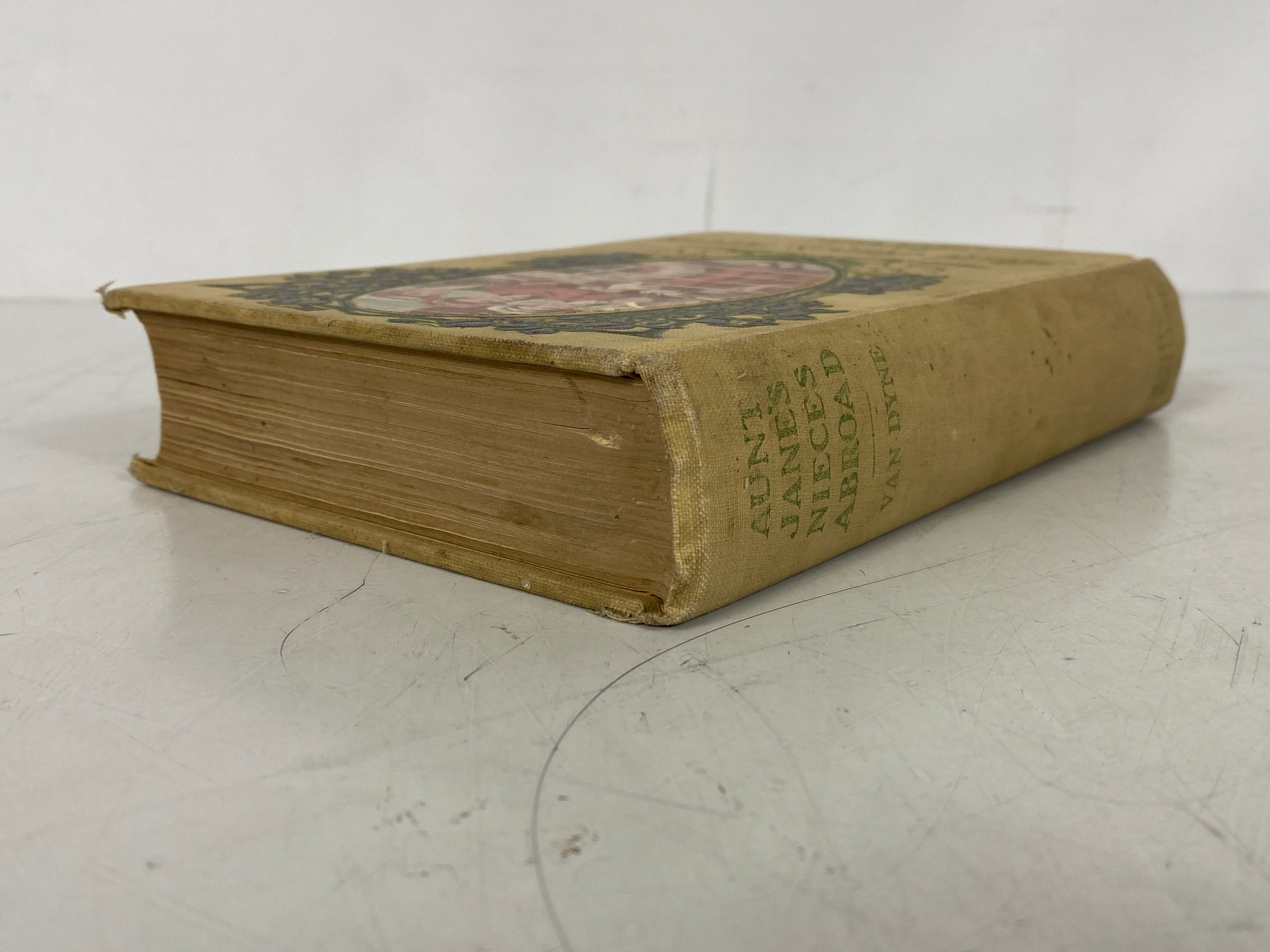 Aunt Jane's Nieces Abroad E. Van Dyne (L. Frank Baum) 1906 1st Ed Antique HC