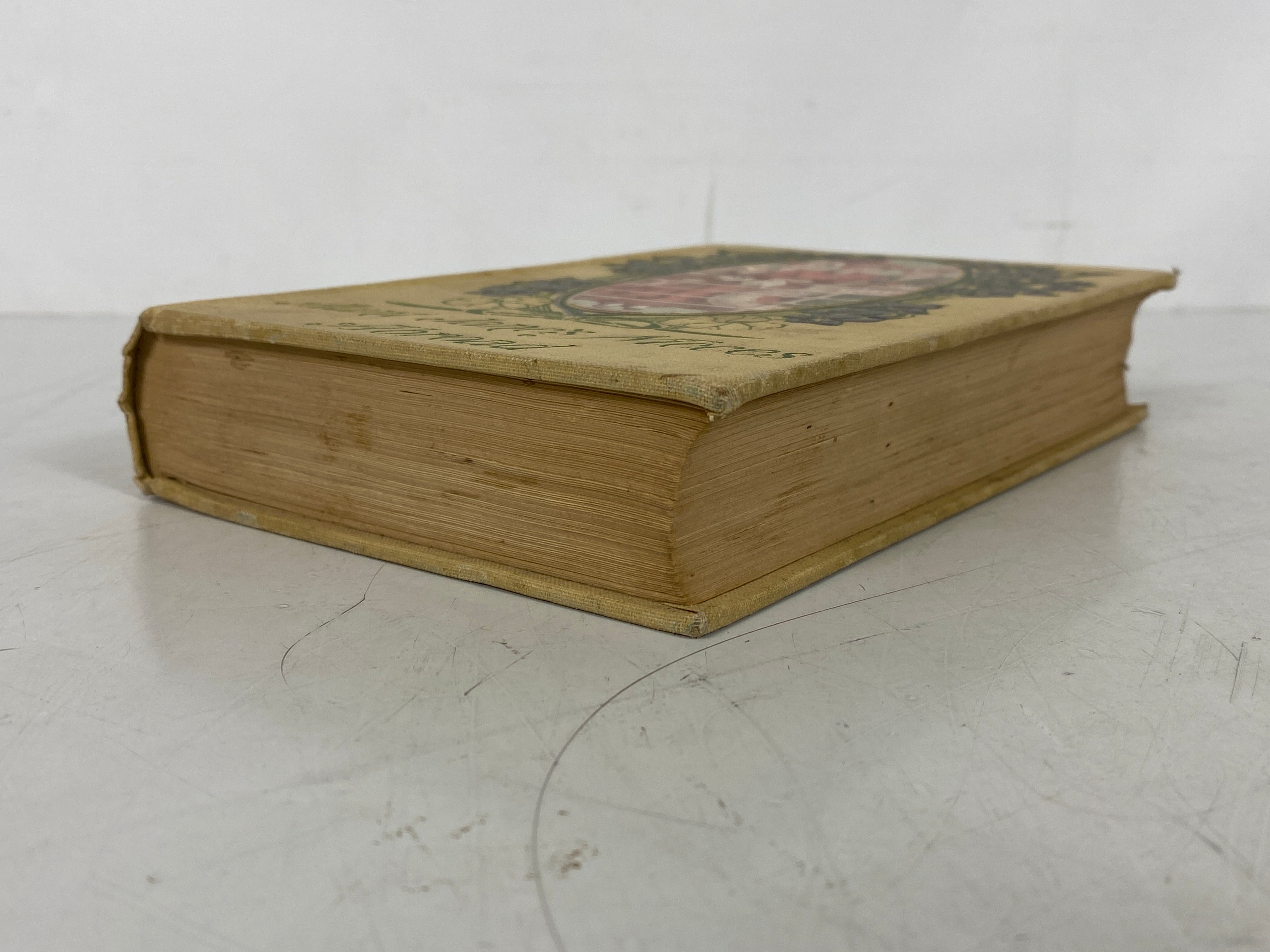 Aunt Jane's Nieces Abroad E. Van Dyne (L. Frank Baum) 1906 1st Ed Antique HC