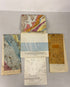 Lot of 5 Vtg US Geological Survey Maps of New York & Connecticut 1960-1979