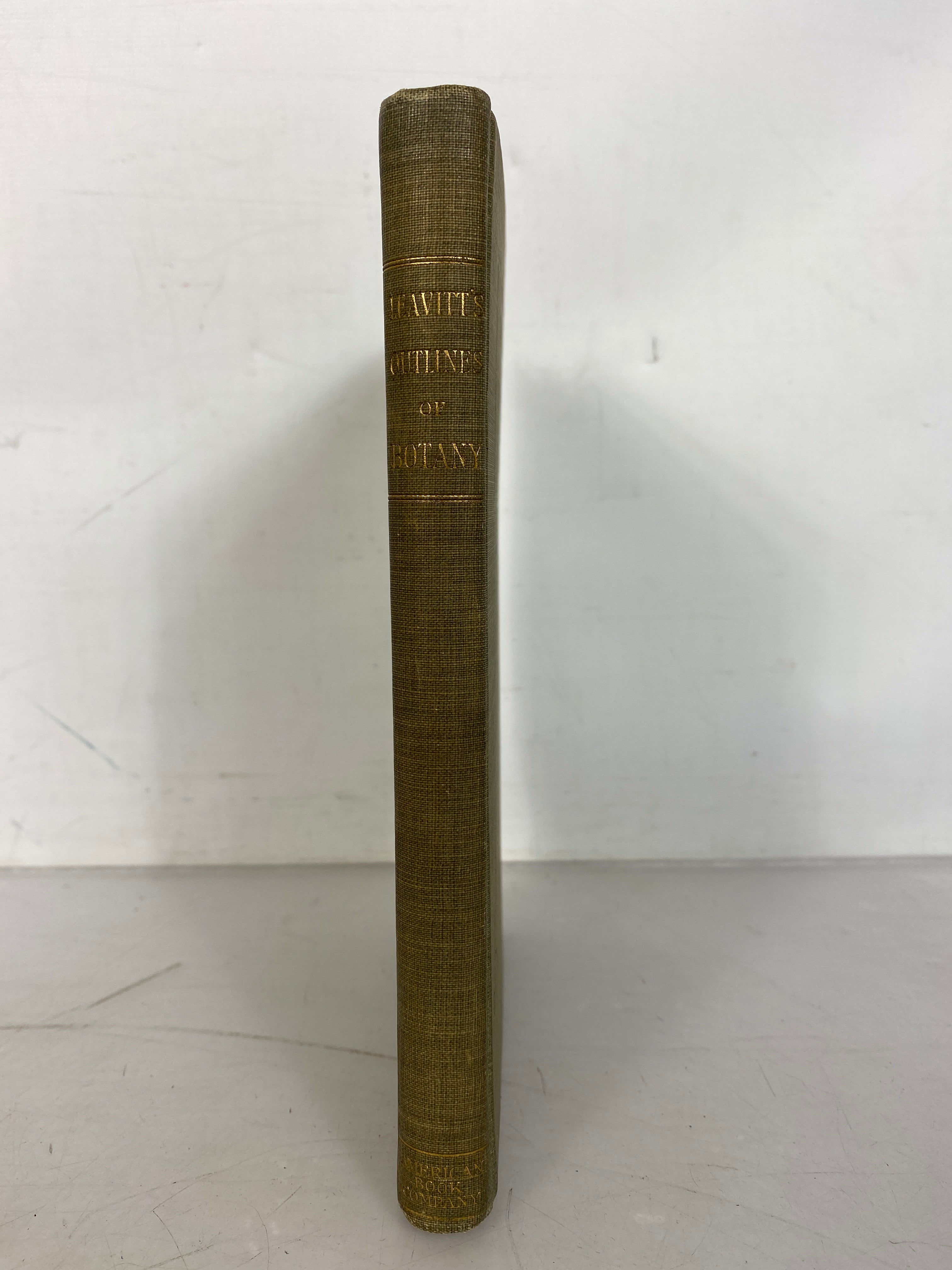 Outlines of Botany for the High School Lab by Robert Greenleaf Leavitt 1901 HC