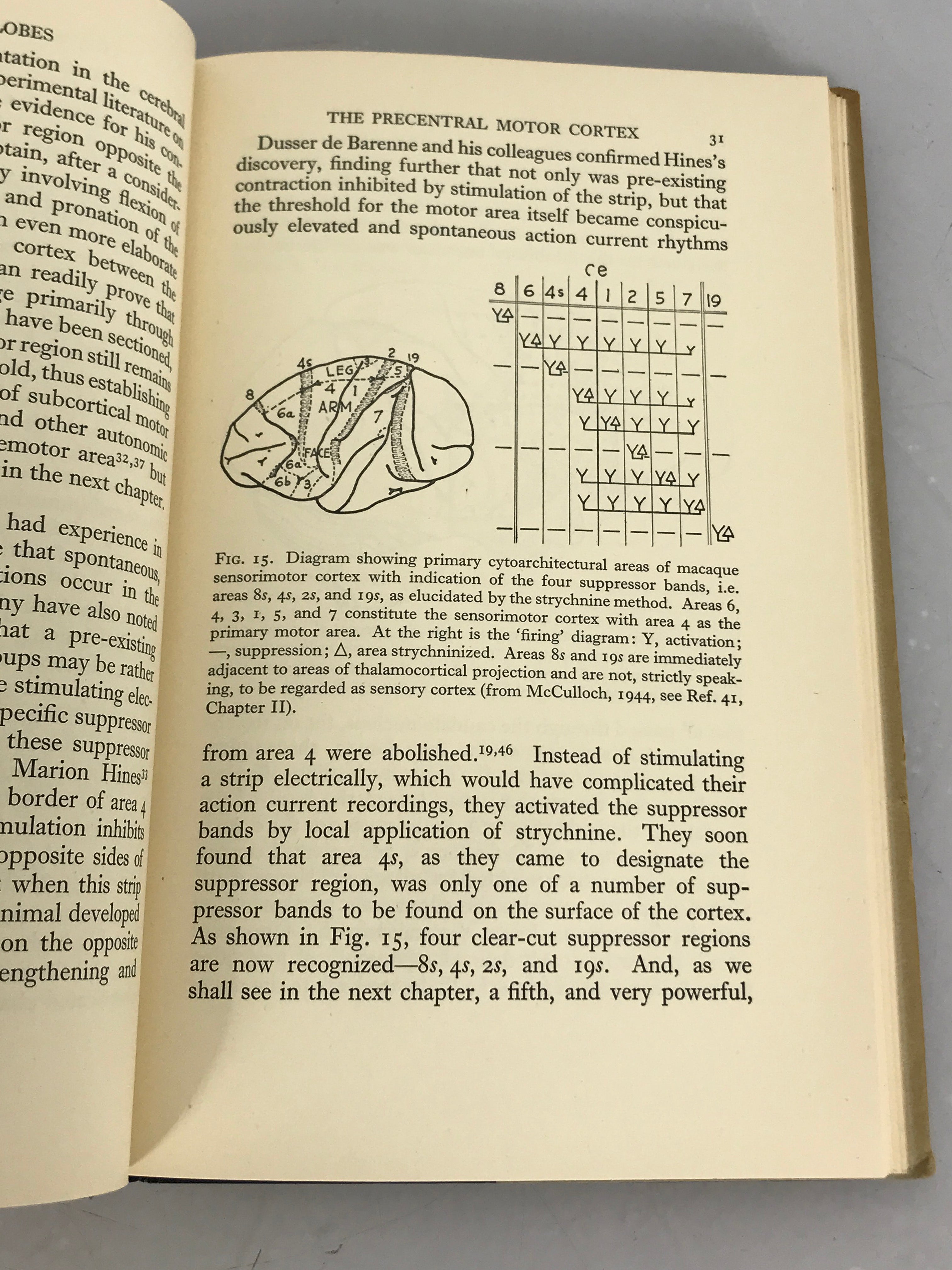 Functional Localization in the Frontal Lobes and Cerebellum by John Fulton 1949 HC DJ