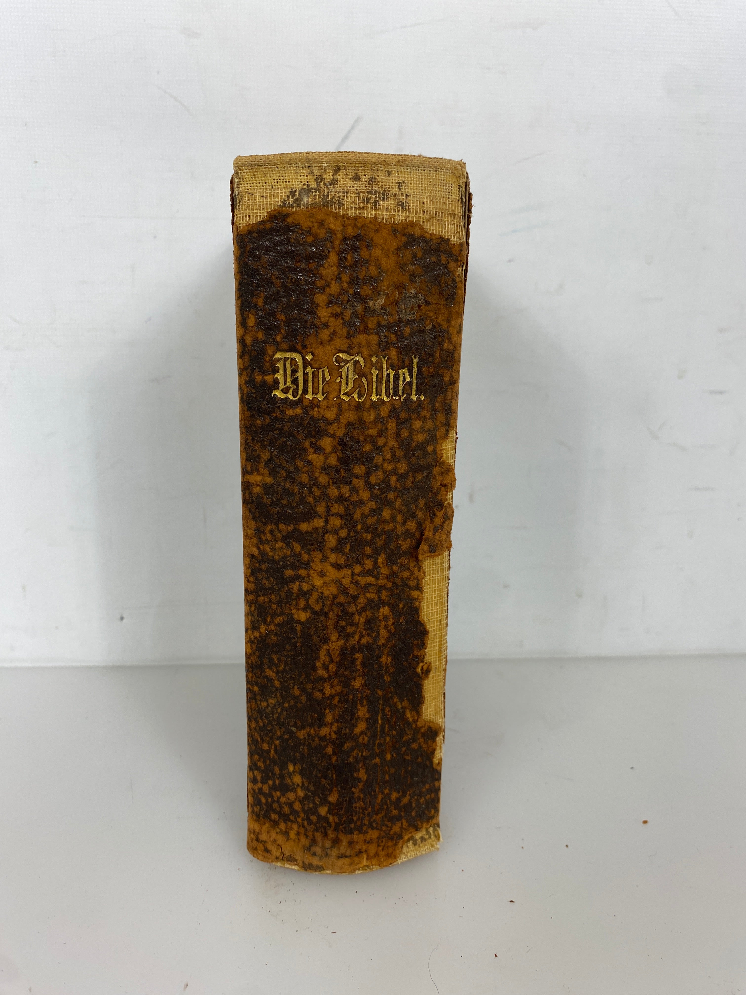 Antique German Language Bible 1907 "Die Bibel" Concordia Leather Bound