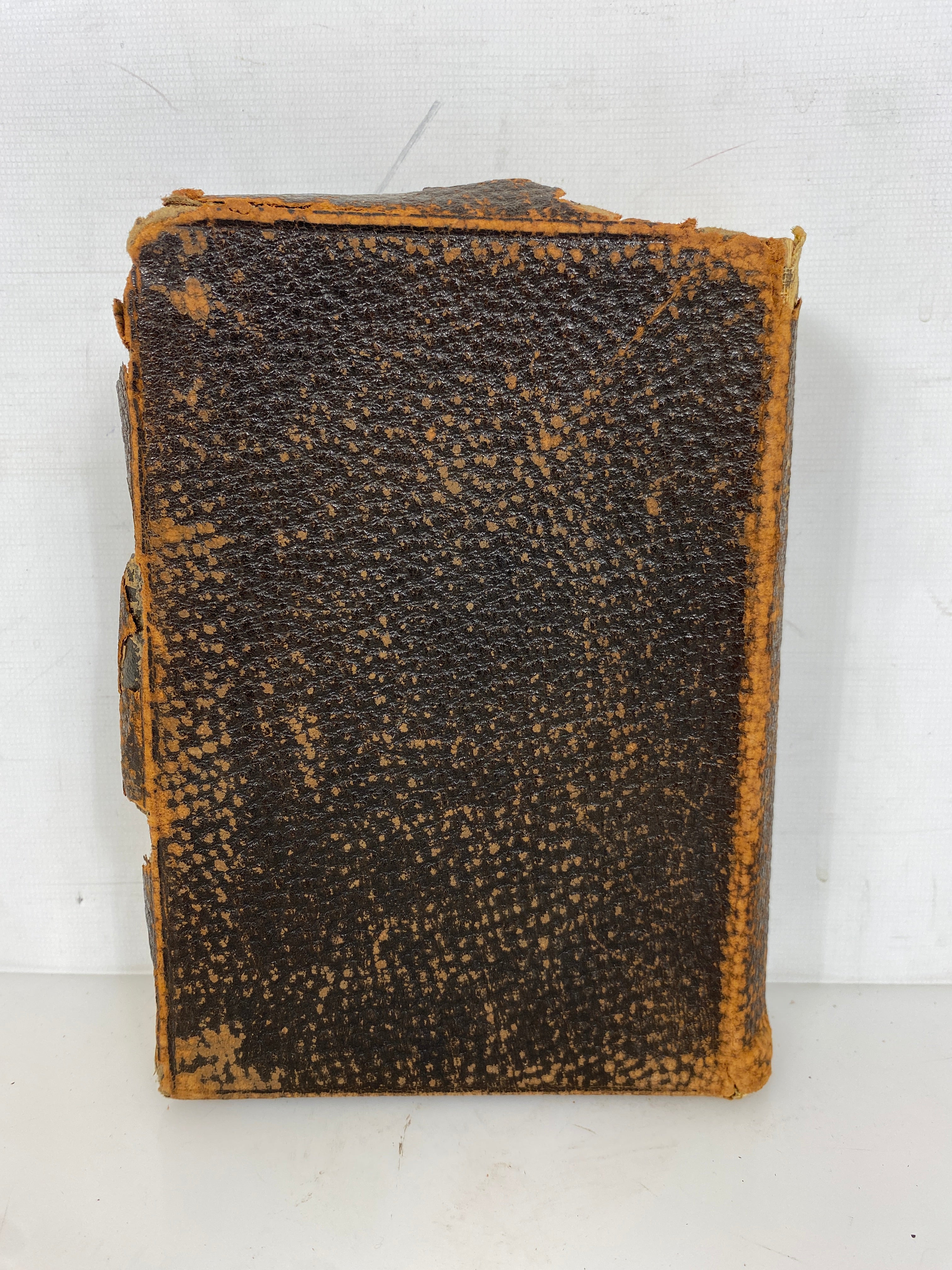 Antique German Language Bible 1907 "Die Bibel" Concordia Leather Bound