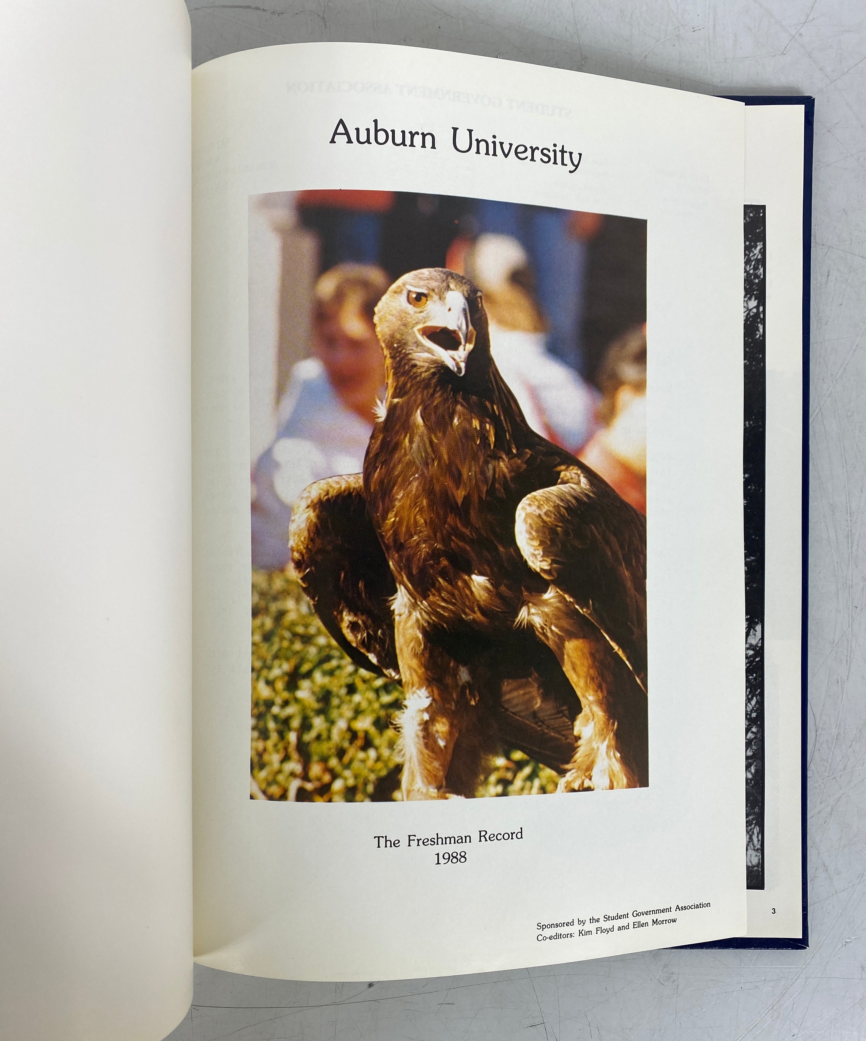 1988 Auburn University The Freshman Record HC