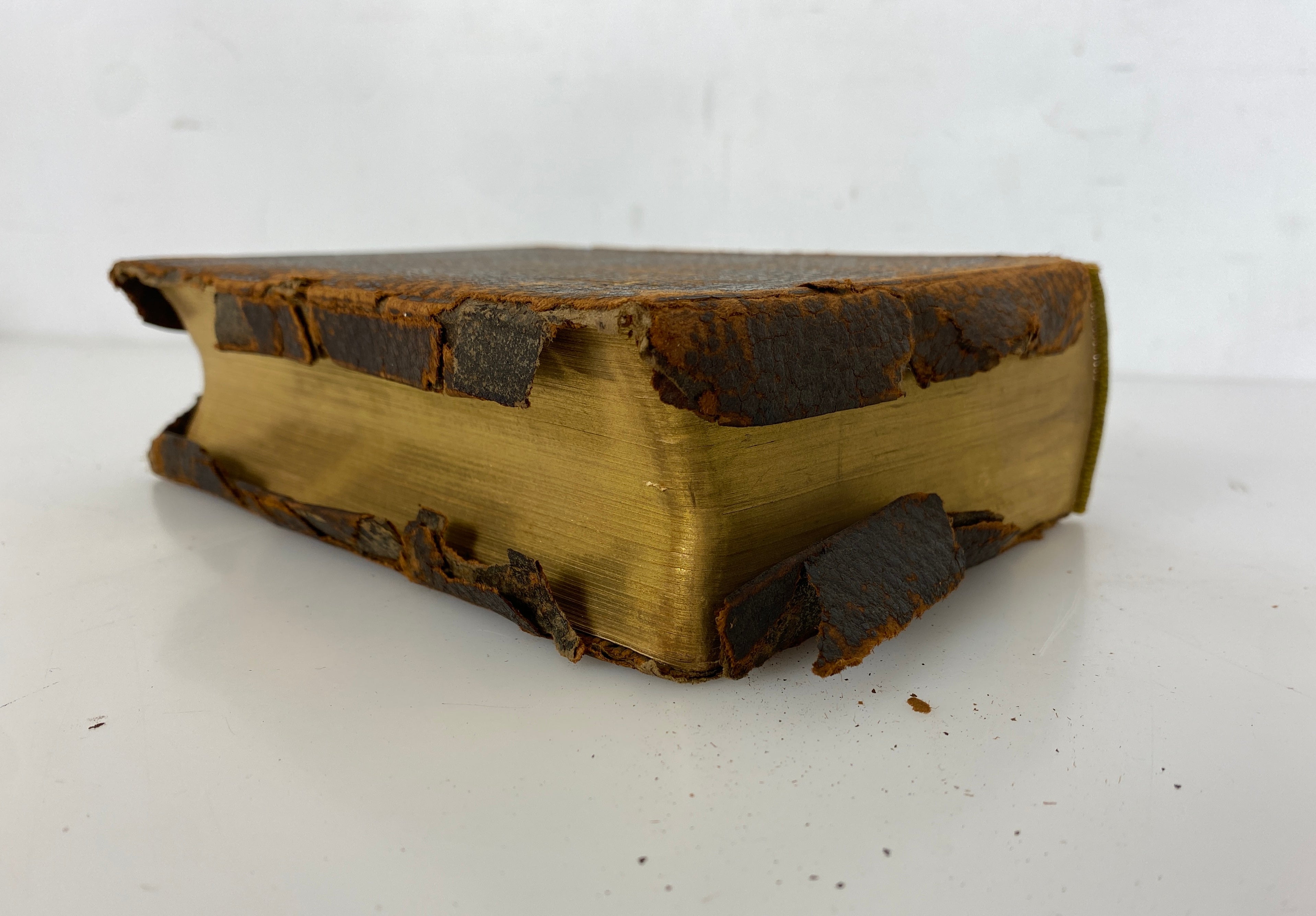 Antique German Language Bible 1907 "Die Bibel" Concordia Leather Bound
