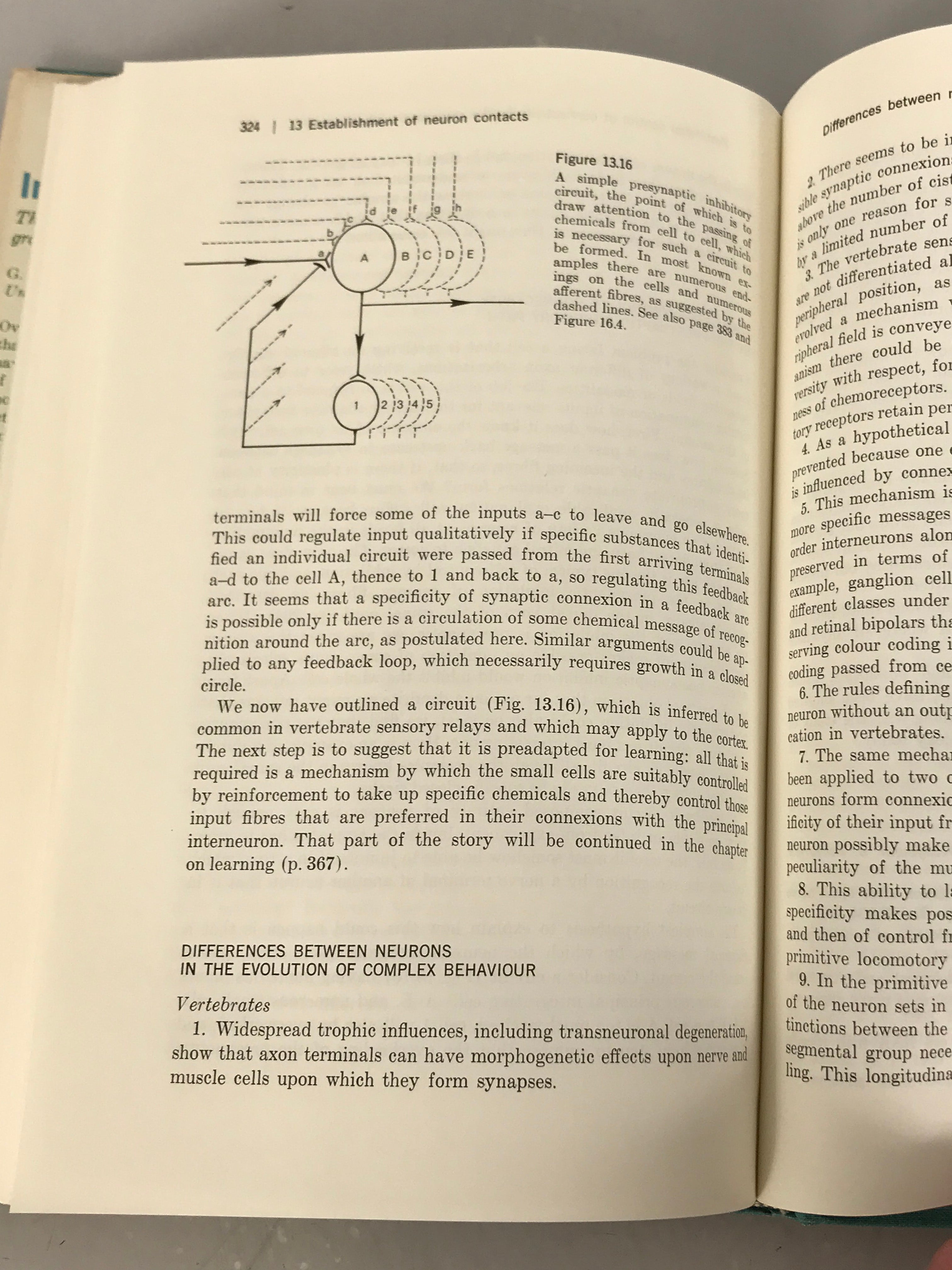 Interneurons Their Origin, Action, Specificity, Growth, and Plasticity by G. Adrian Horridge 1968 HC DJ