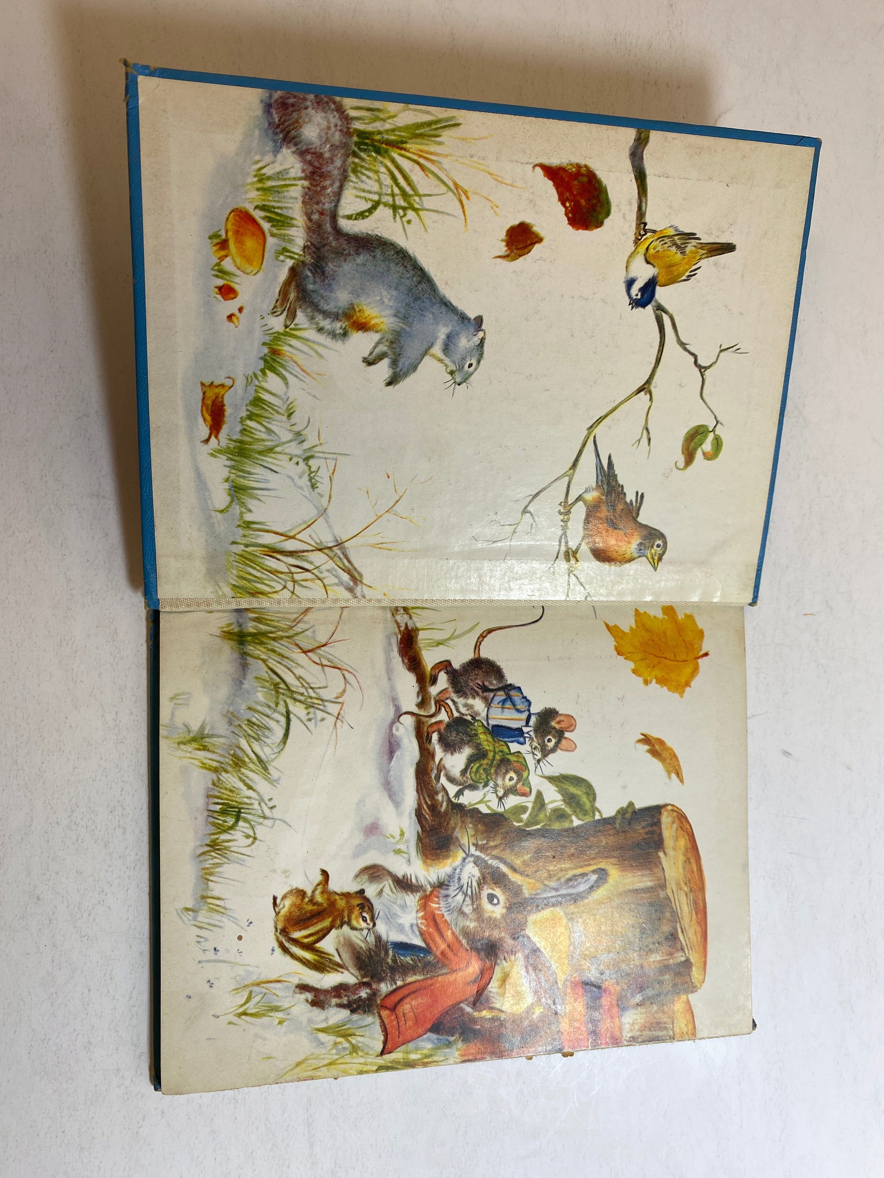 Old Man Rabbit's Dinner Party HC 1949