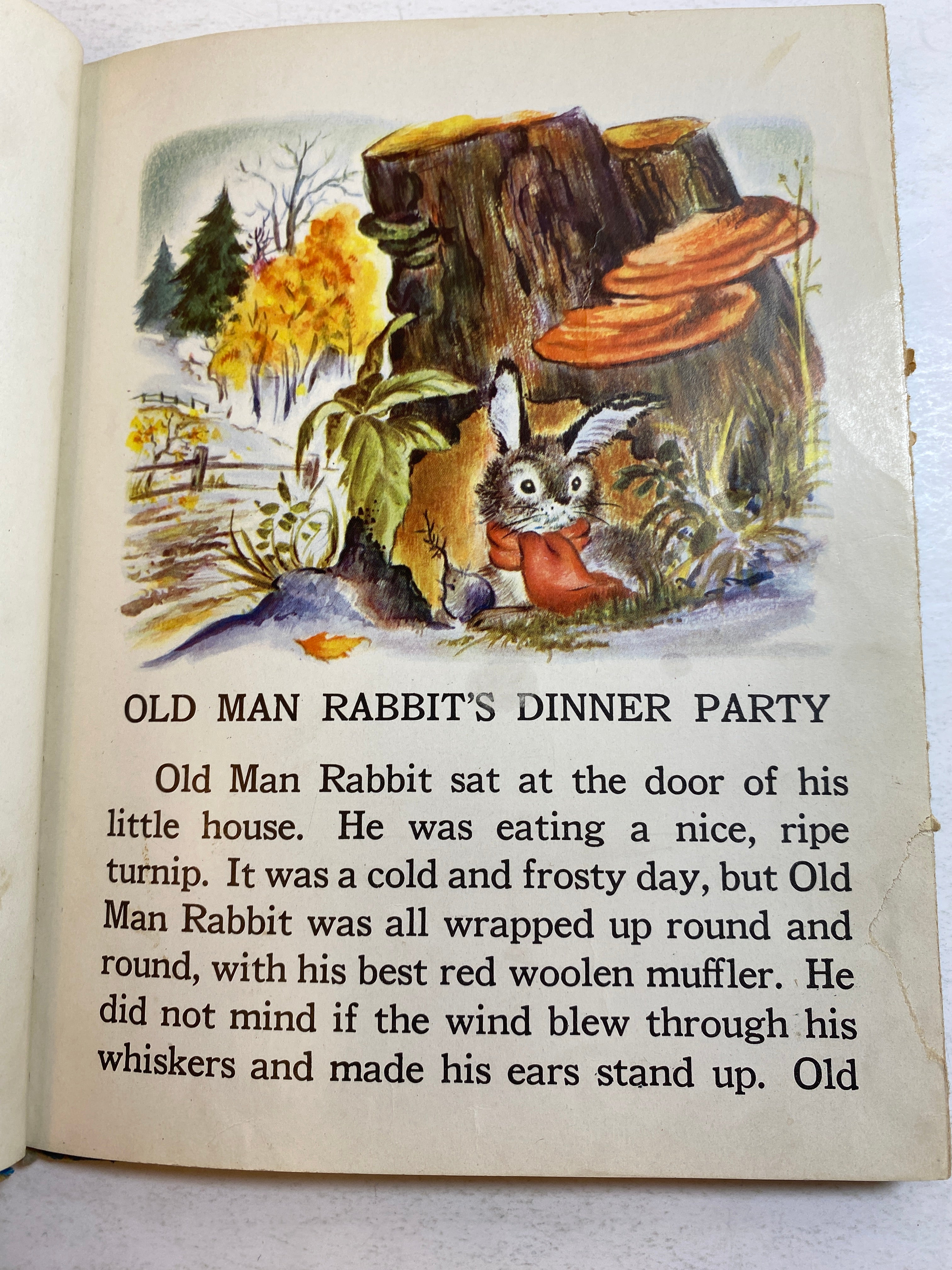 Old Man Rabbit's Dinner Party HC 1949