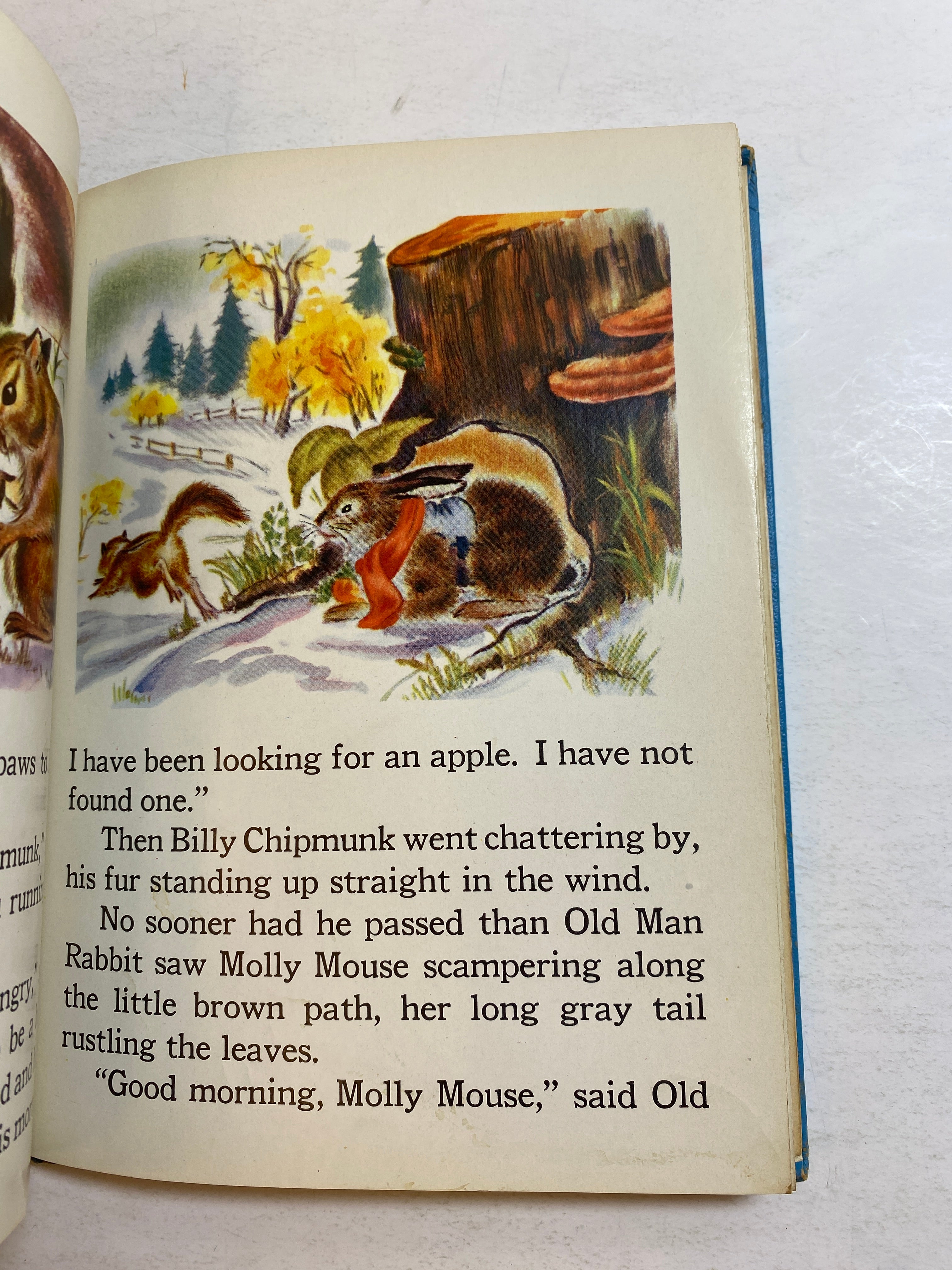 Old Man Rabbit's Dinner Party HC 1949