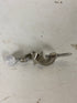 Fisher Castaloy 1451 Double-Buret Clamp