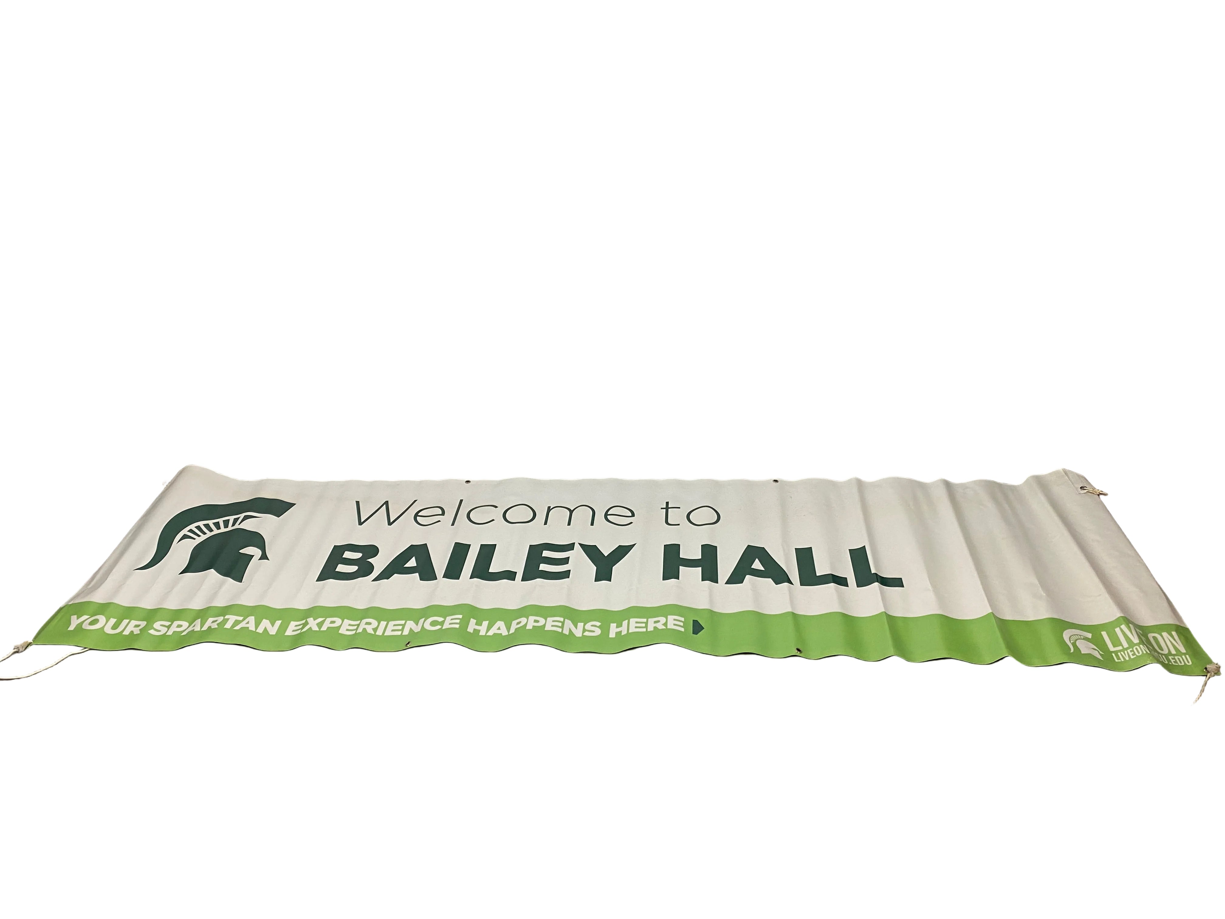 MSU 'Welcome to Bailey Hall'  Banner