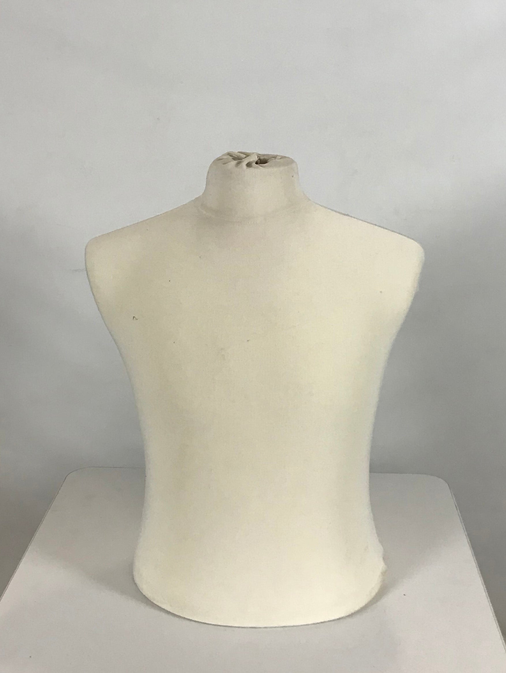 Male Mannequin Torso MSU Surplus Store   IMG 4778 70c91783 837b 420e 82d0 C1bb0e7aa353 