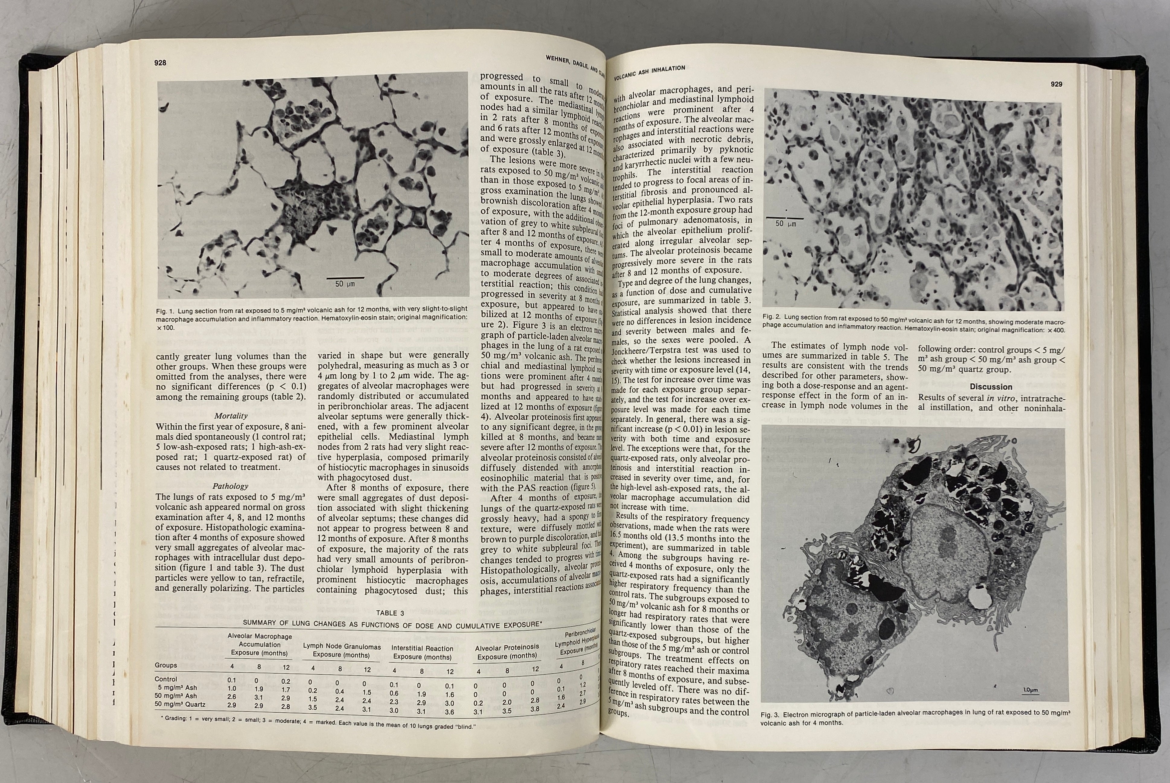 American Review of Respiratory Disease Vol 128 July-Dec 1983 HC