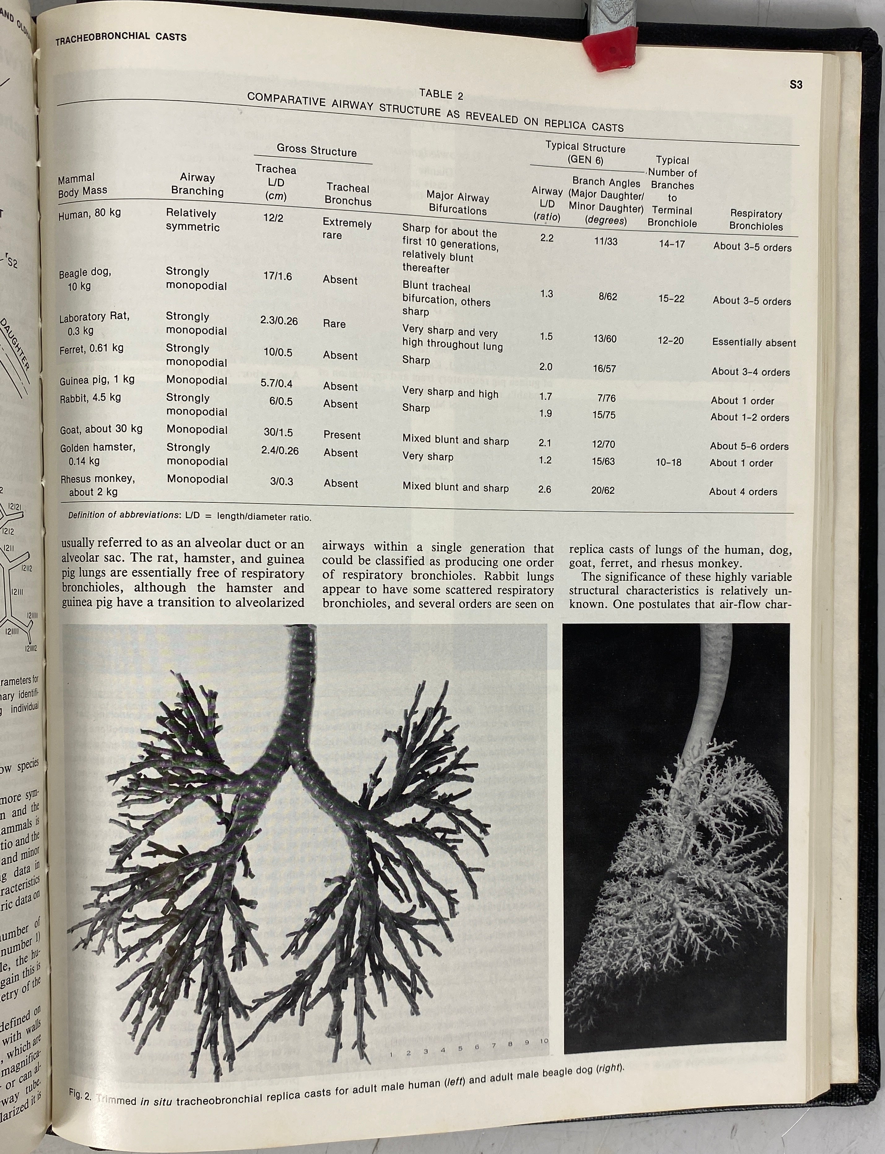 American Review of Respiratory Disease Vol 128 July-Dec 1983 HC