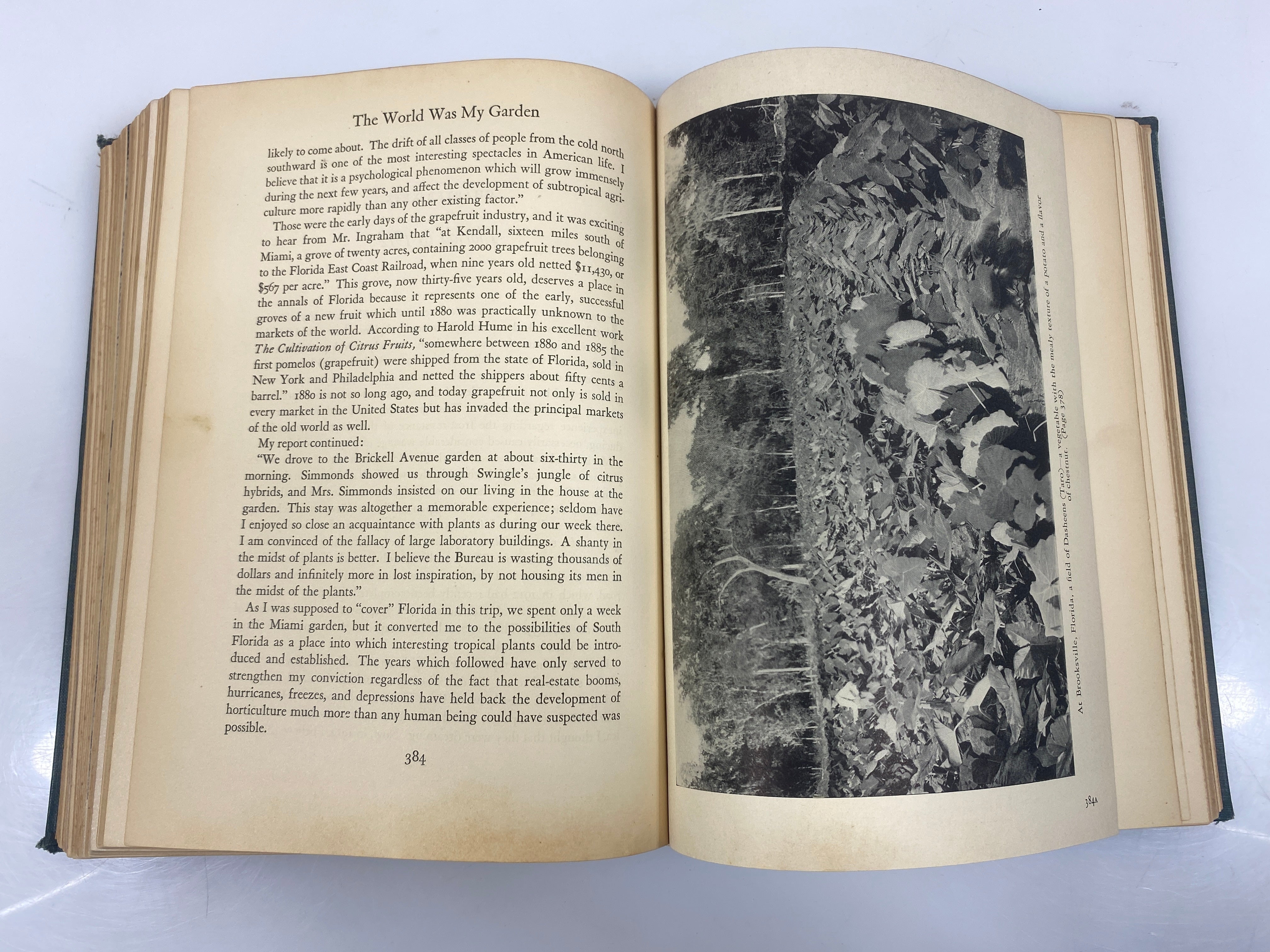 The World Was My Garden by Fairchild Ex-Library 1938 HC