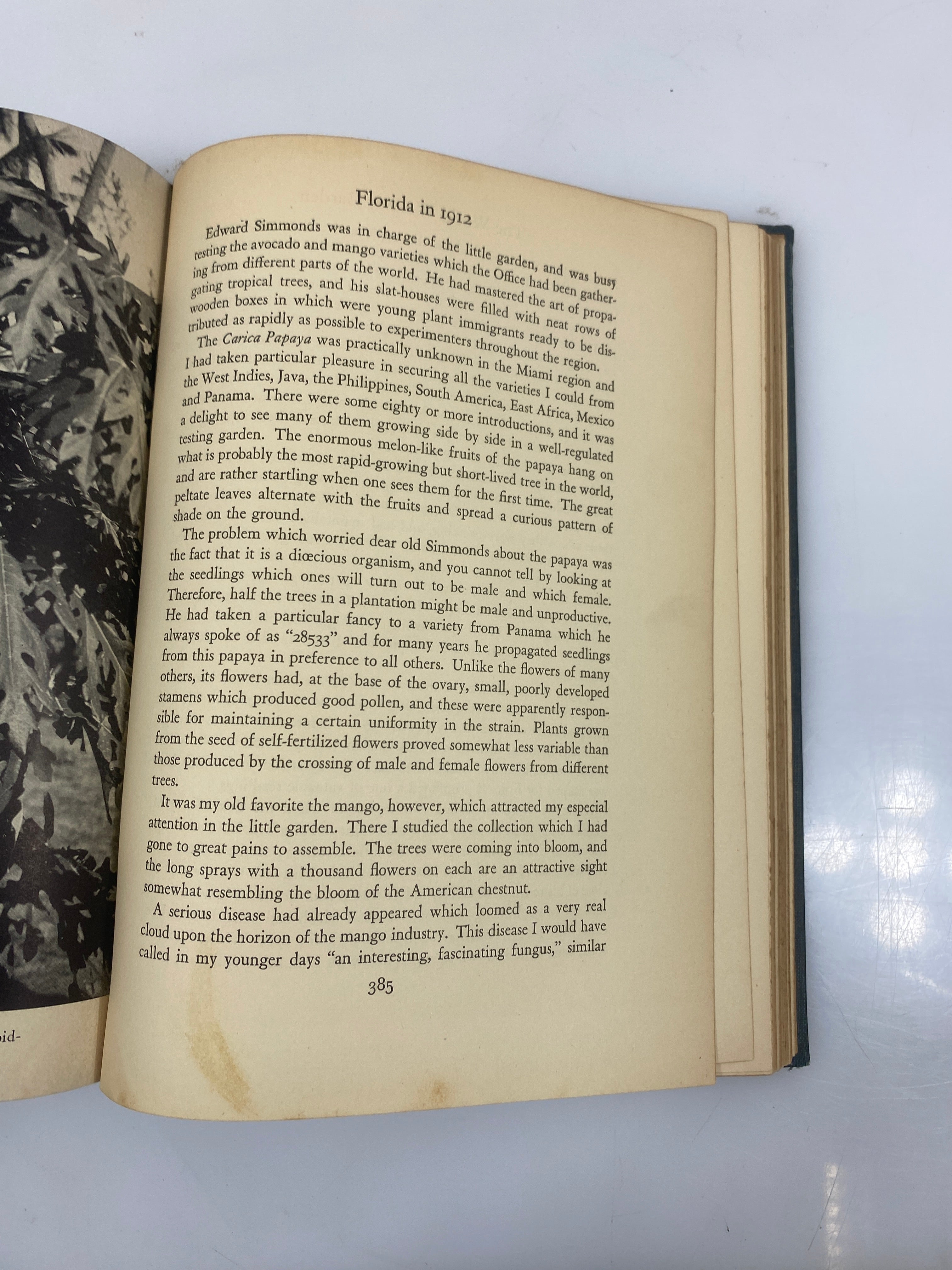 The World Was My Garden by Fairchild Ex-Library 1938 HC