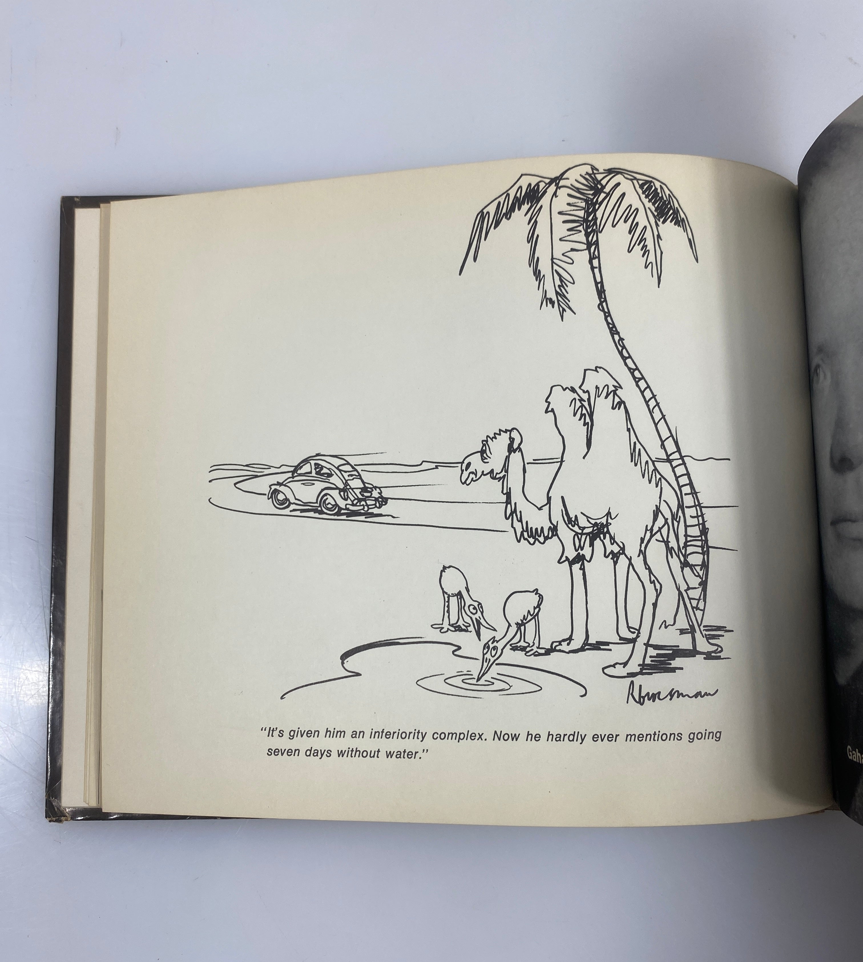 Think Small Volkswagen of America 1967 Ex-Library HC